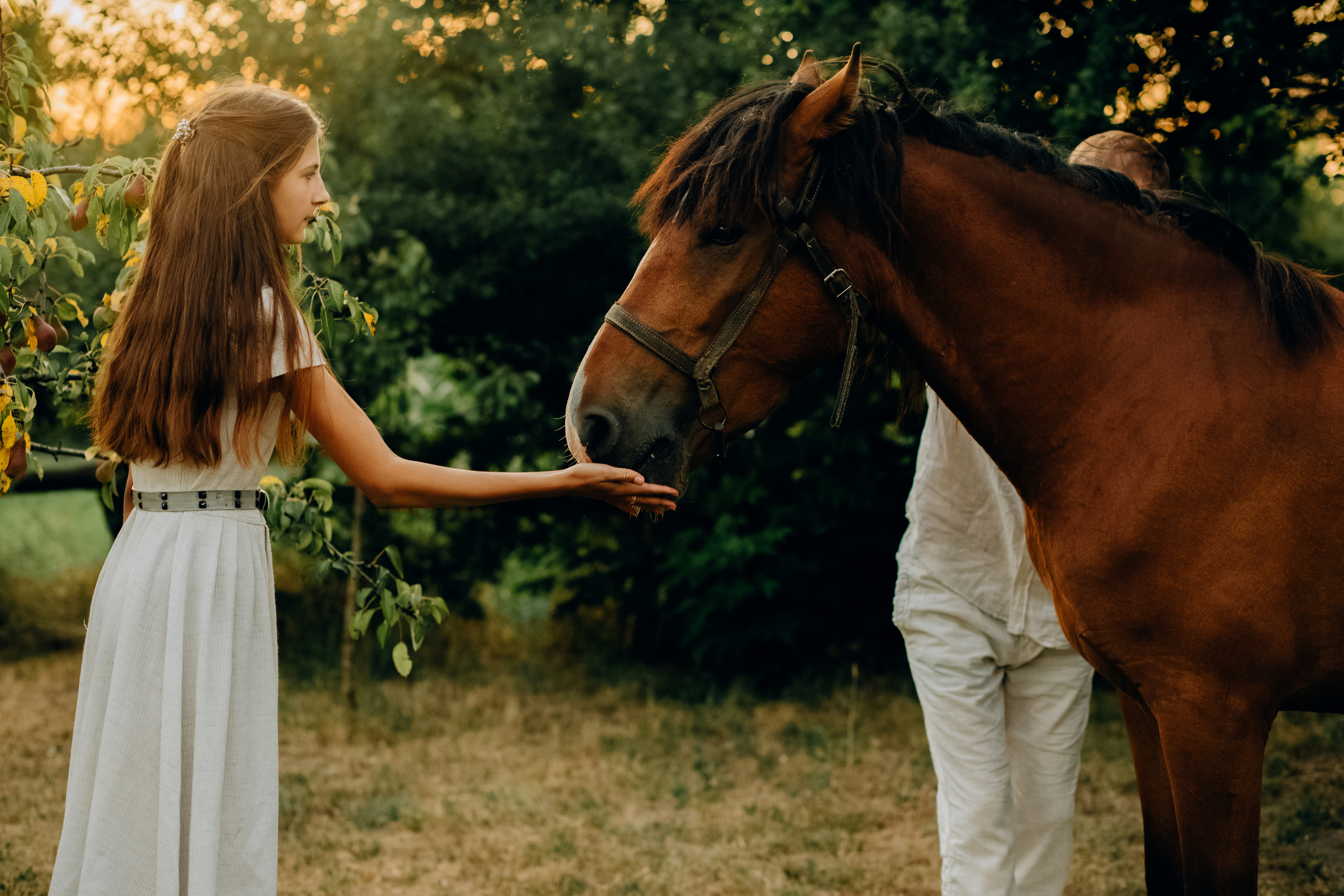 Марципановий дім. Весільний та сімейний фотограф Біла Церква/Київ