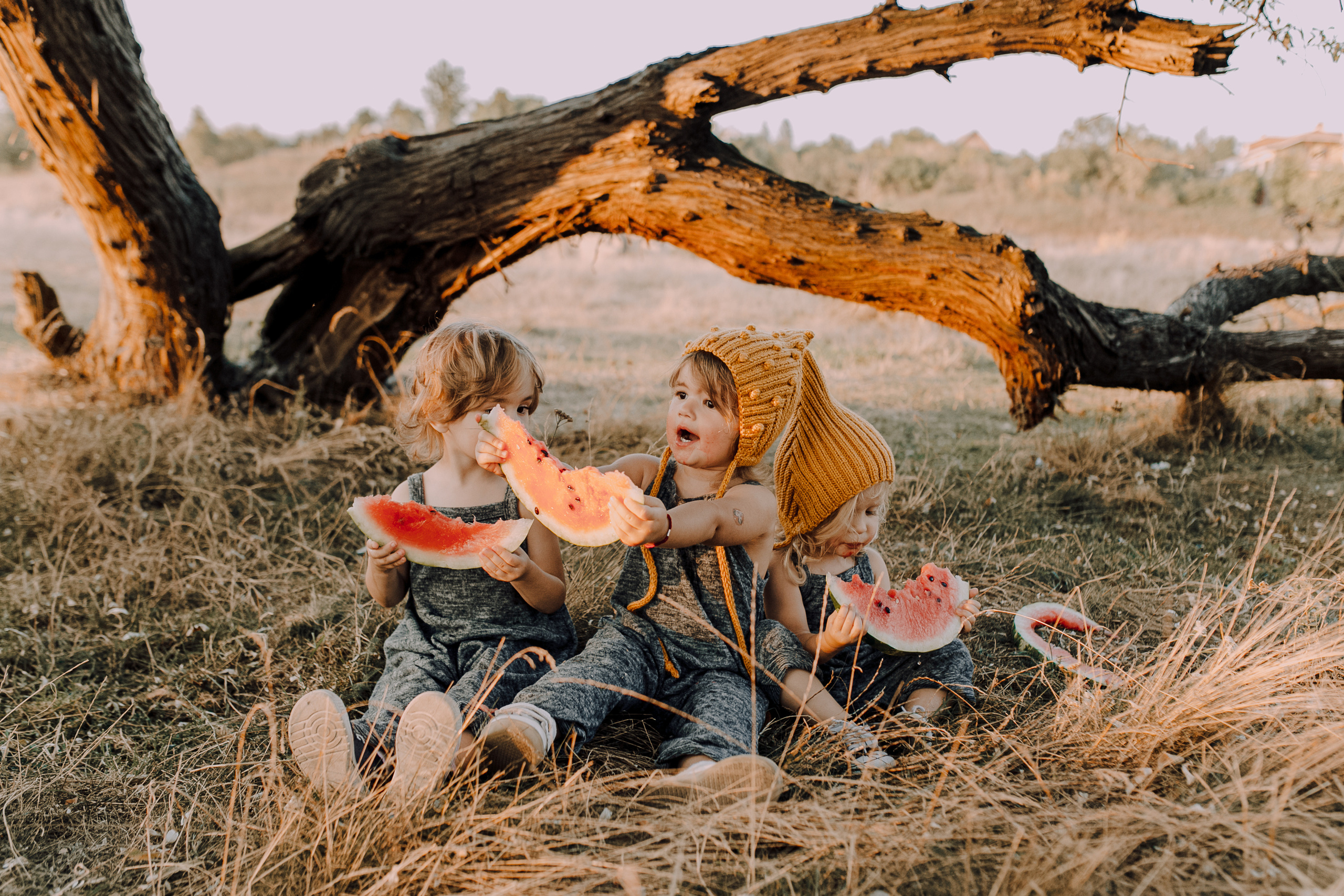 Bookahi. Весільний та сімейний фотограф Біла Церква/Київ