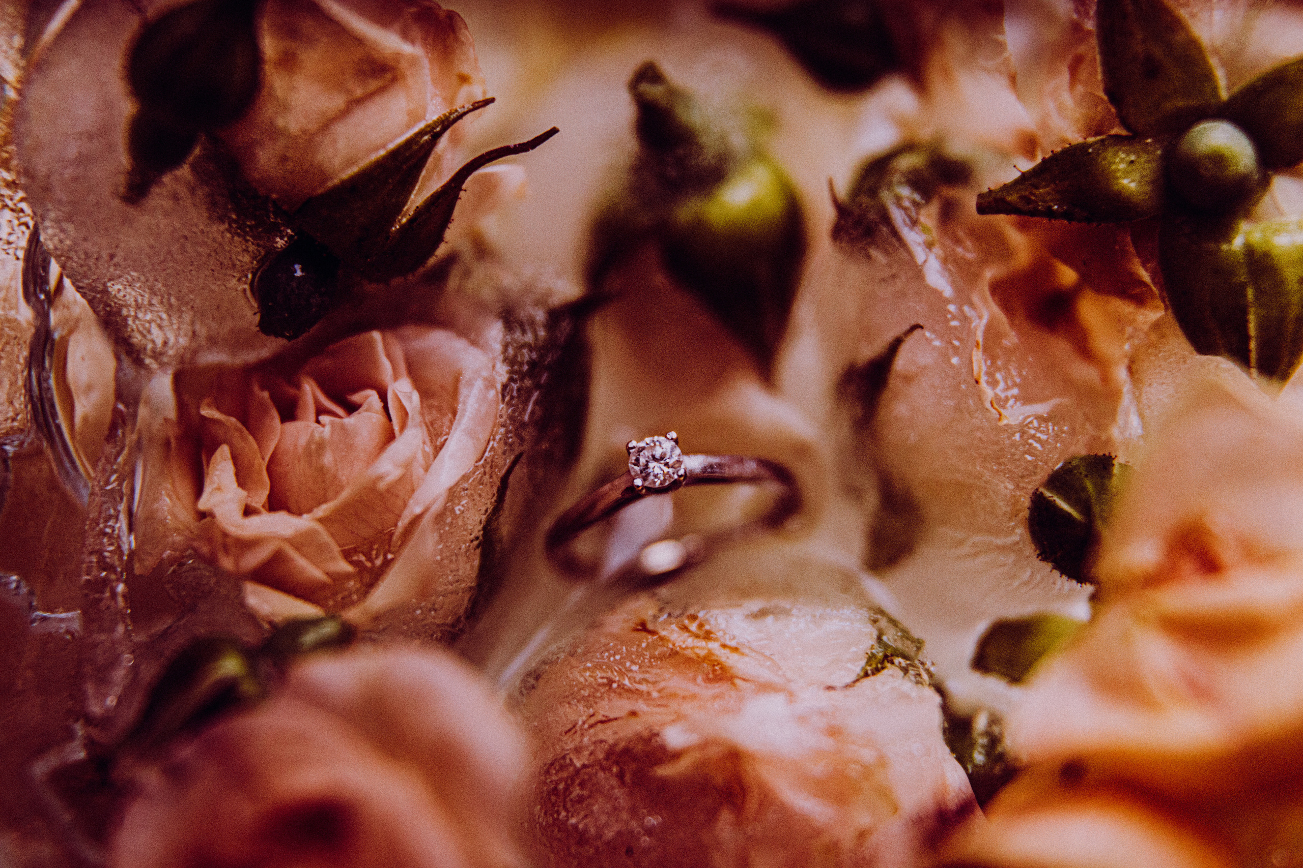 Весільний та сімейний фотограф Біла Церква/Київ