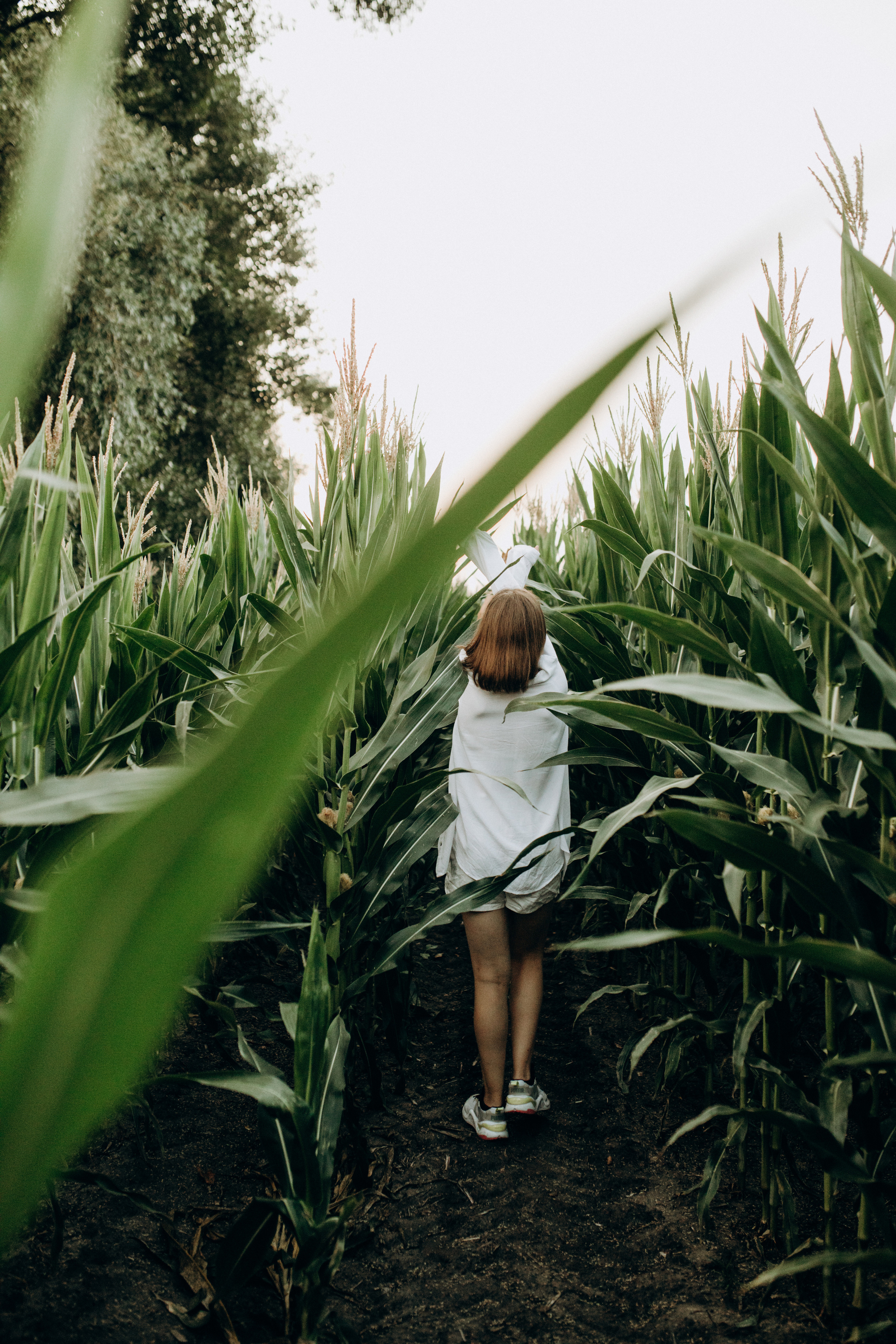 Родина. Весільний та сімейний фотограф Біла Церква/Київ