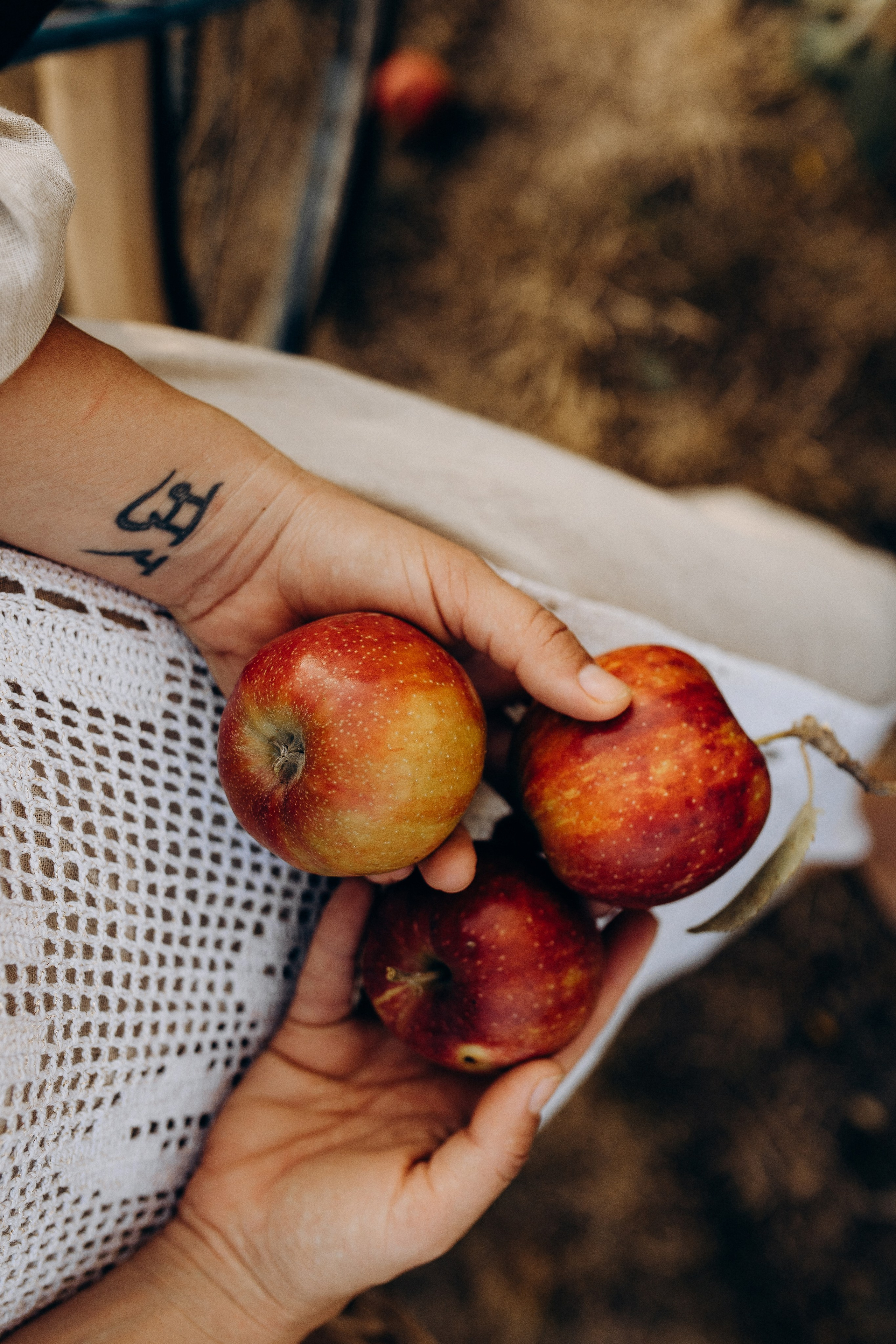 Рідне село. Весільний та сімейний фотограф Біла Церква/Київ