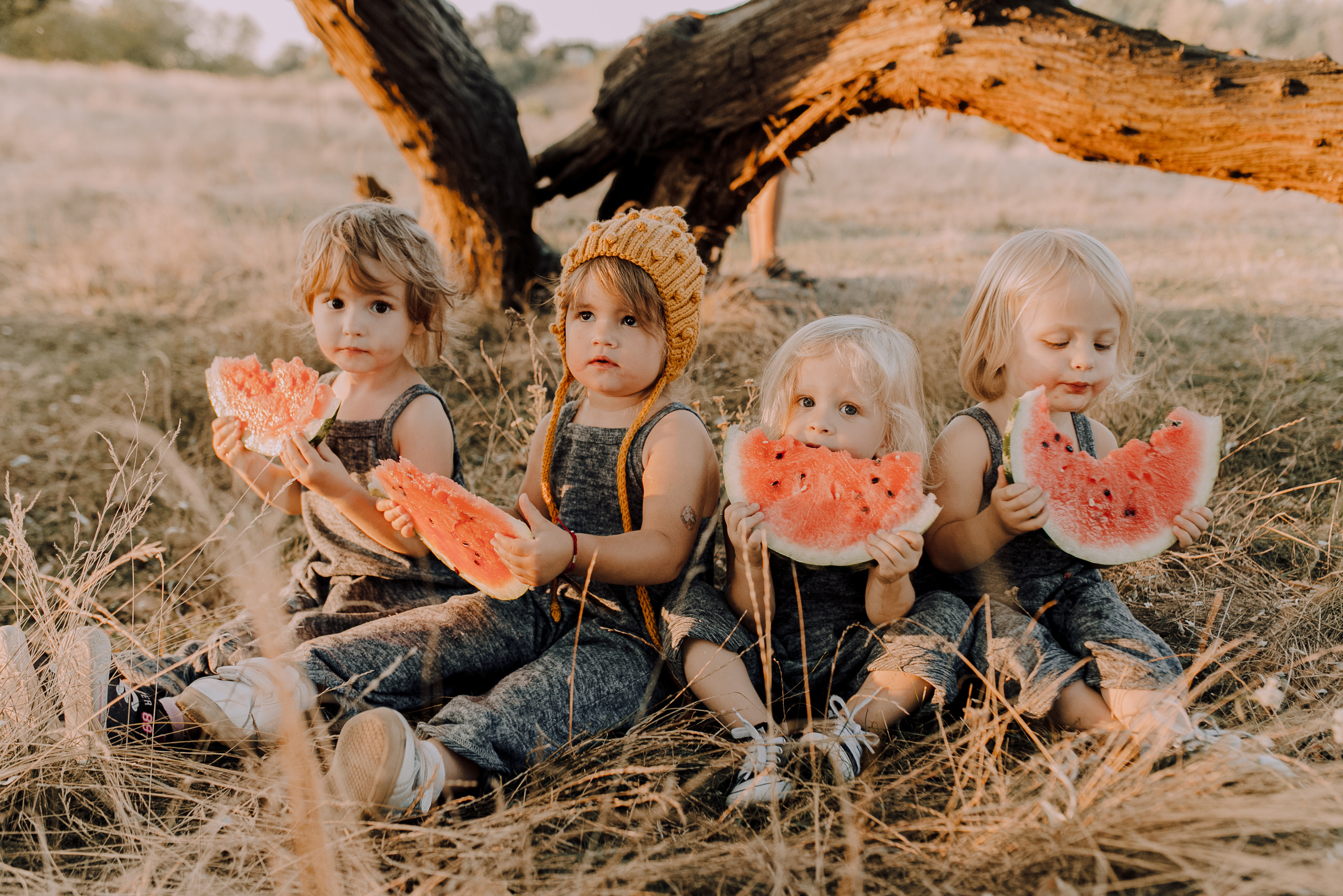 Bookahi. Весільний та сімейний фотограф Біла Церква/Київ