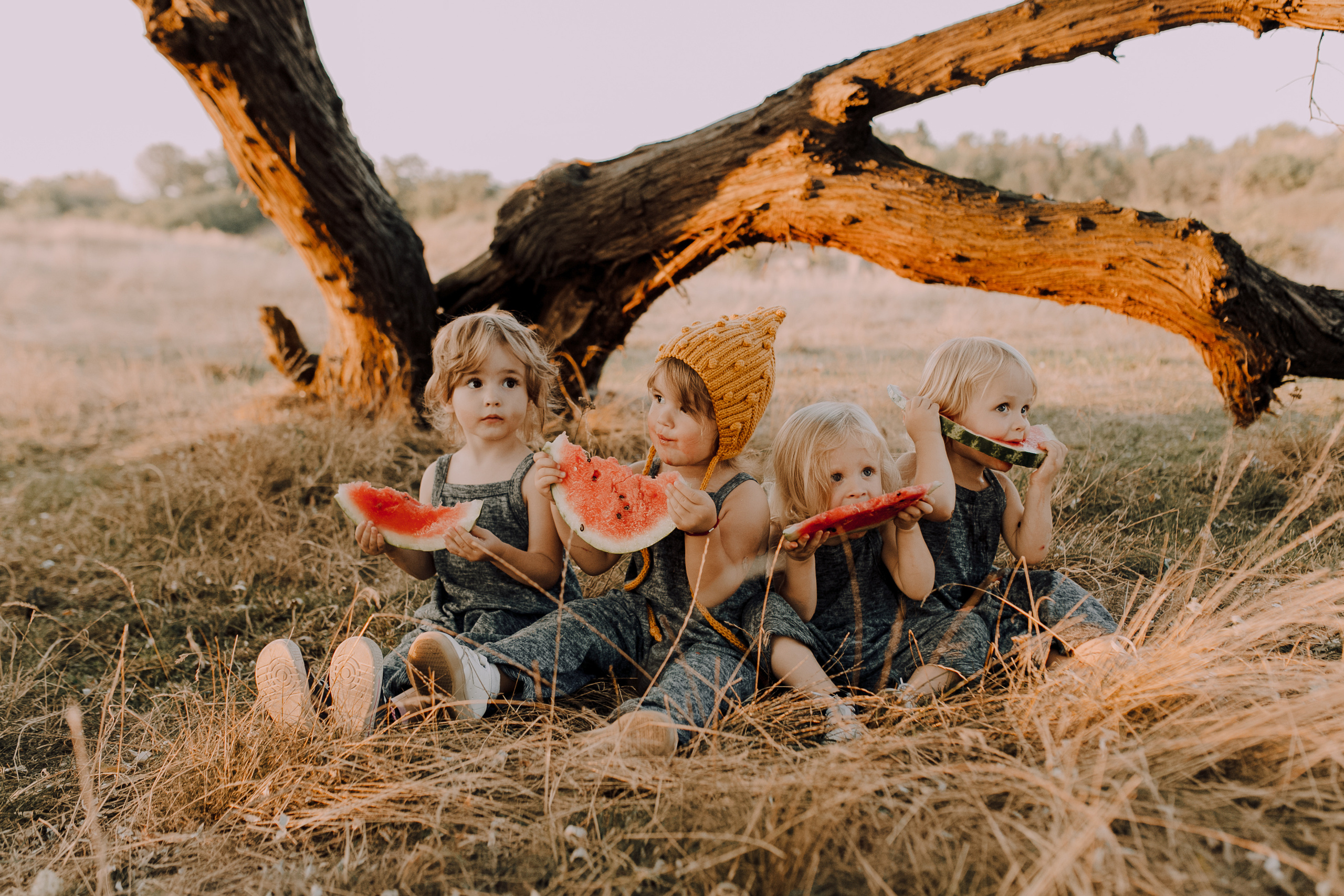 Bookahi. Весільний та сімейний фотограф Біла Церква/Київ