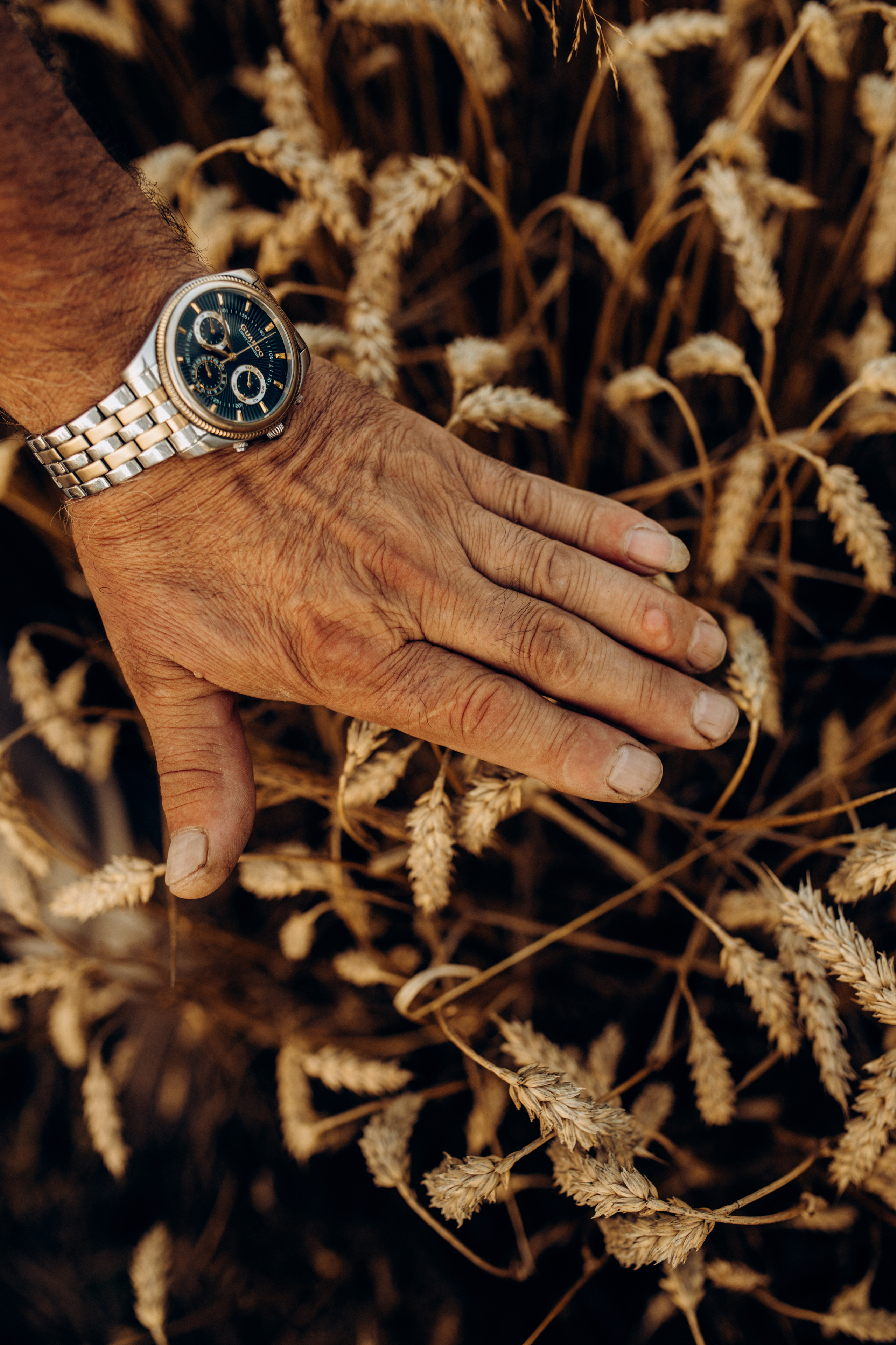 Родина. Весільний та сімейний фотограф Біла Церква/Київ