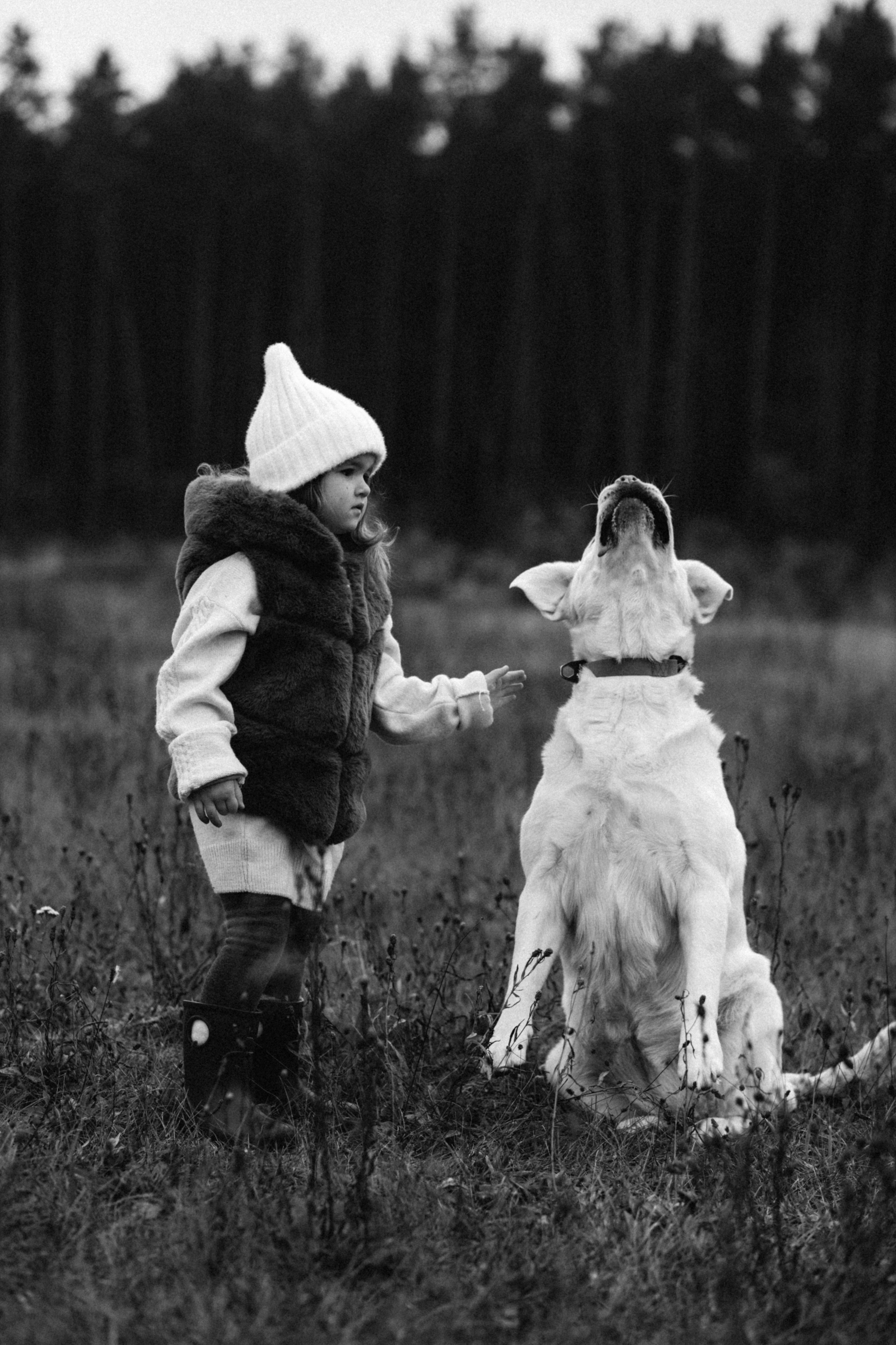 В очікуванні. Весільний та сімейний фотограф Біла Церква/Київ