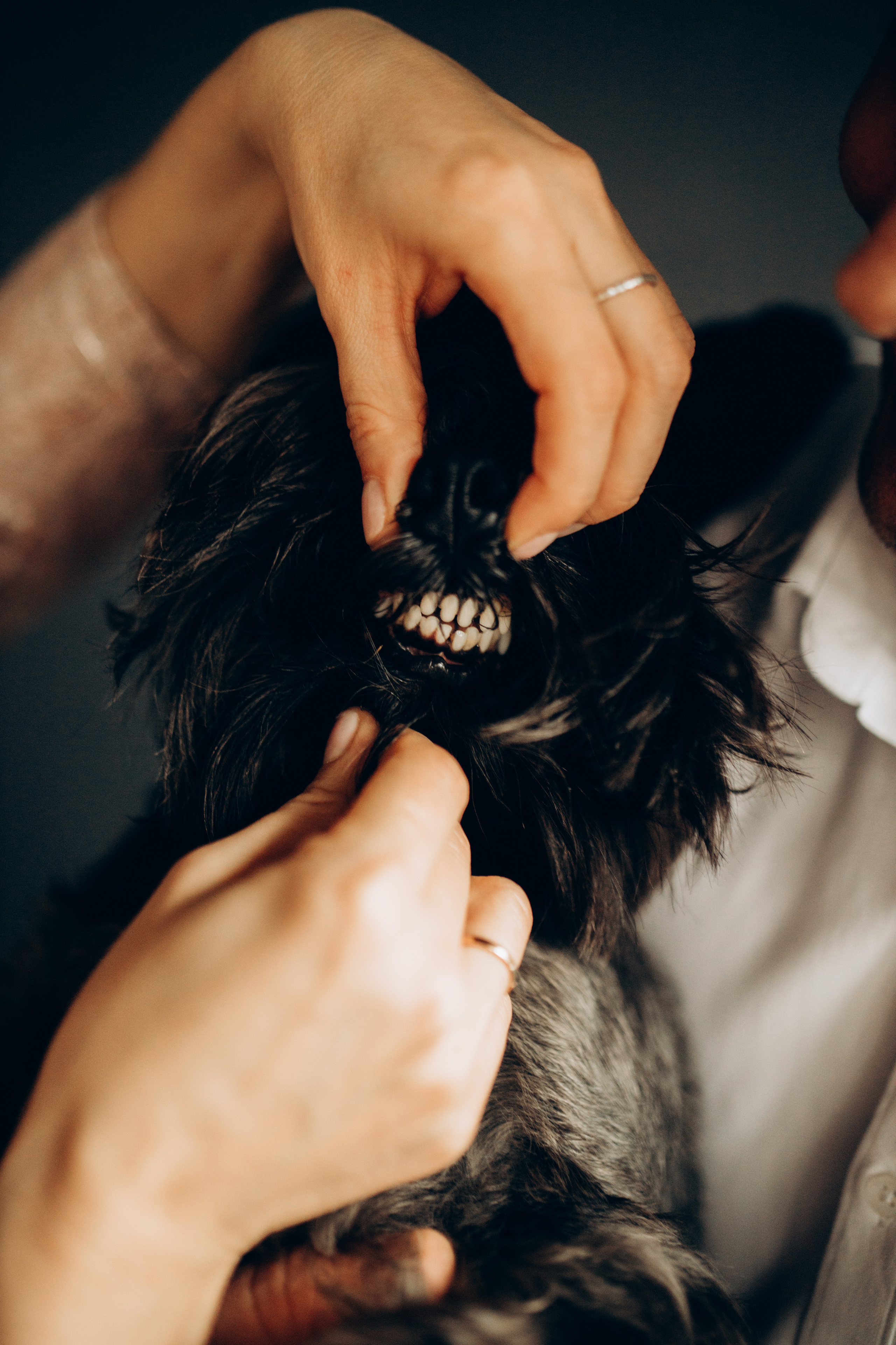 PASSAGE. Весільний та сімейний фотограф Біла Церква/Київ