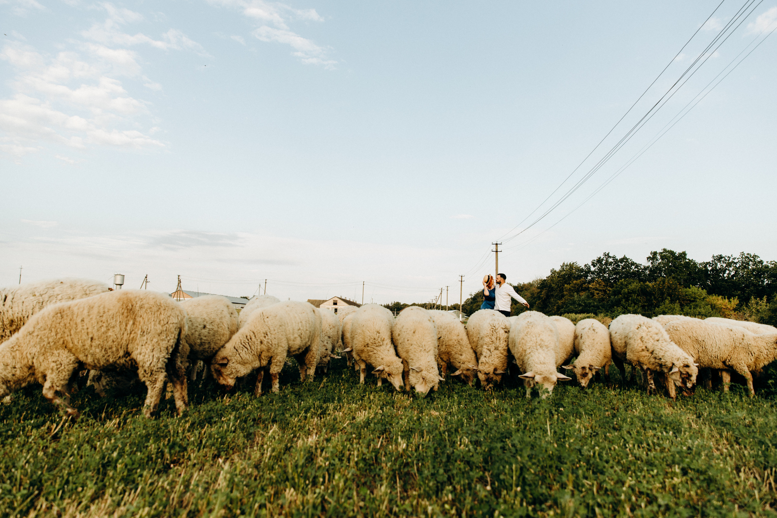 Sunrise. Весільний та сімейний фотограф Біла Церква/Київ