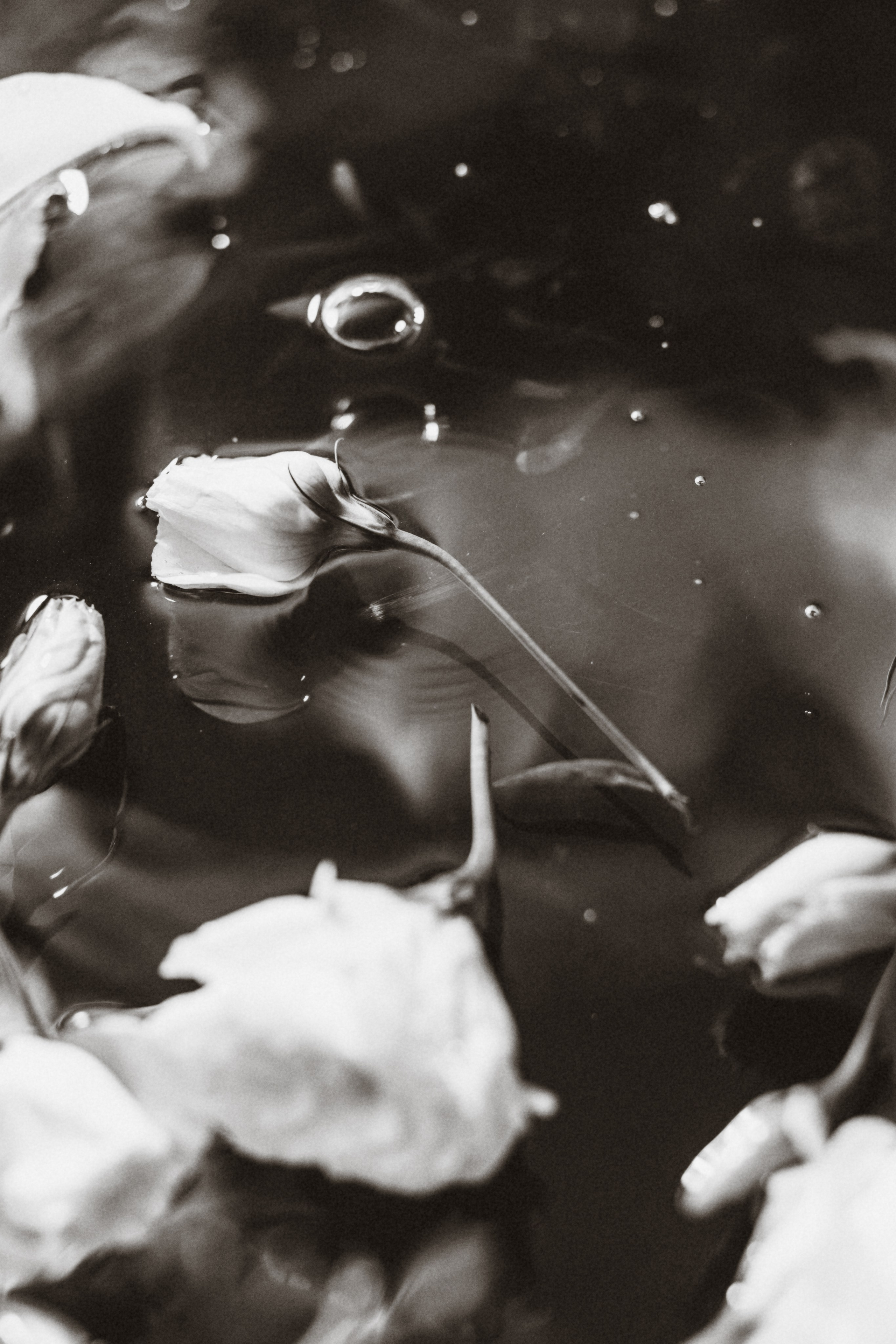 Марія Сон русалки. Весільний та сімейний фотограф Біла Церква/Київ