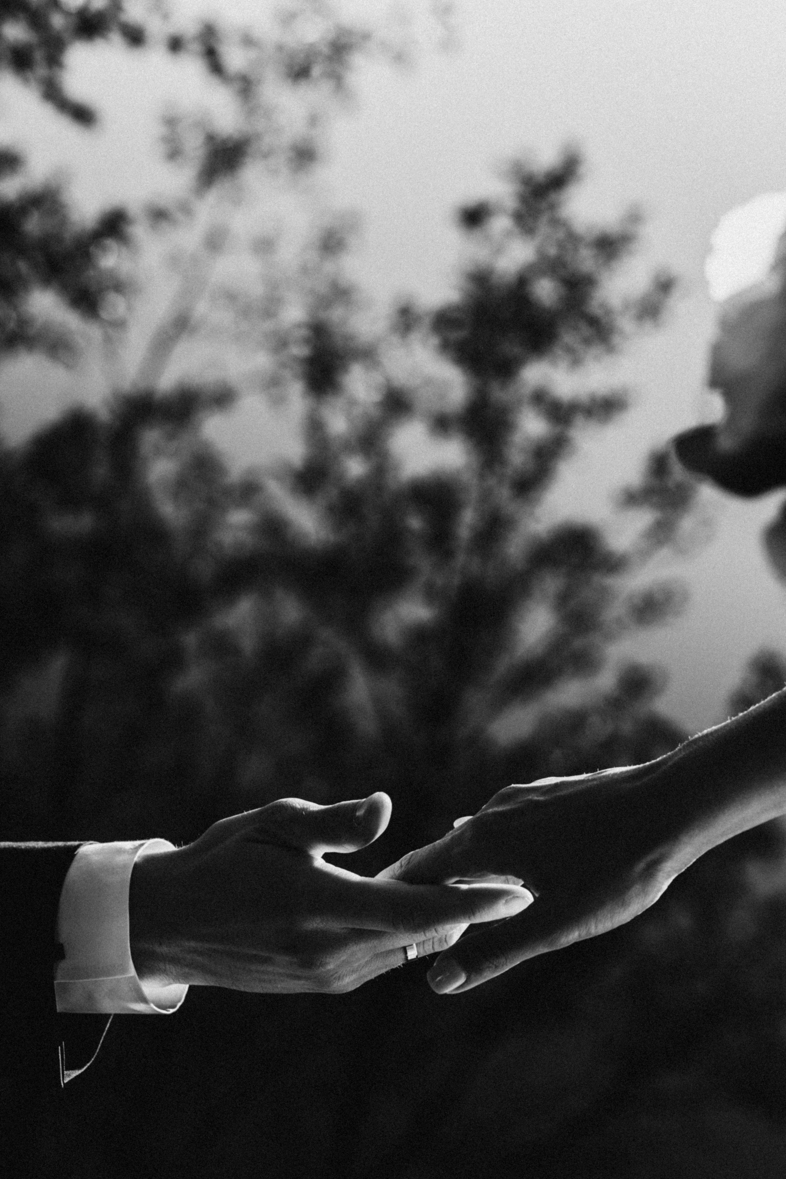 Владислав&Аліна. Весільний та сімейний фотограф Біла Церква/Київ