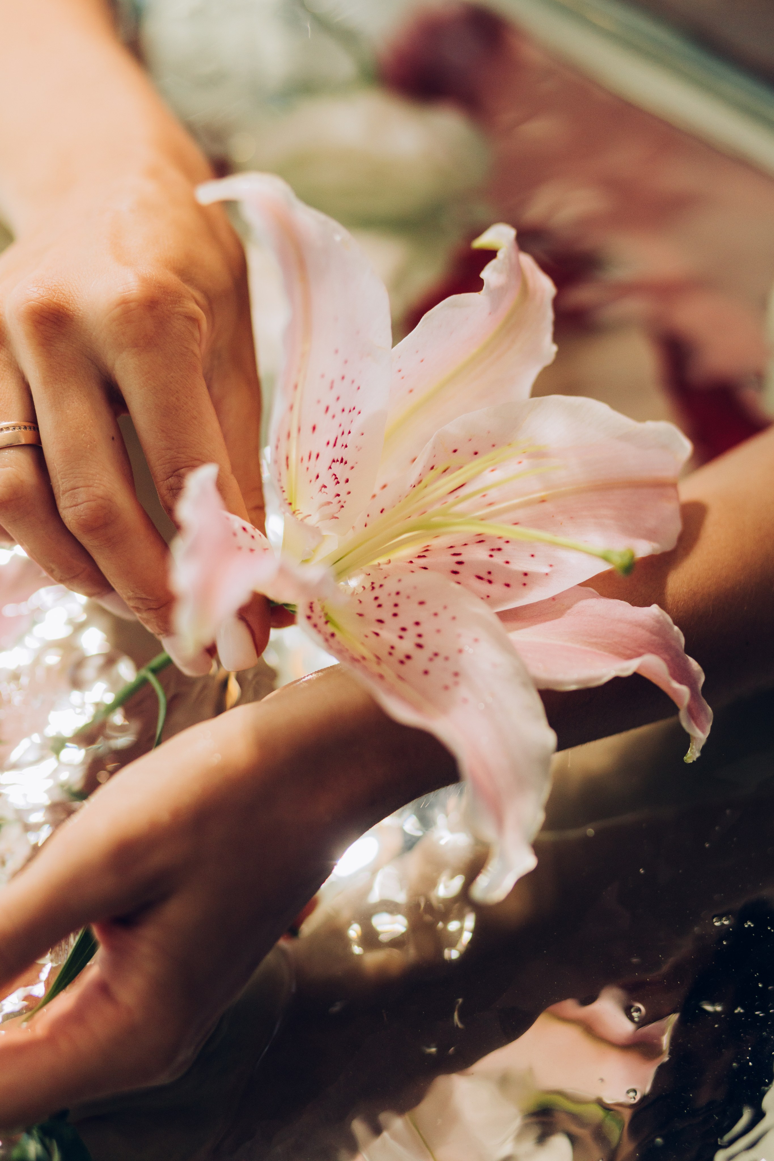 Марія Сон русалки. Весільний та сімейний фотограф Біла Церква/Київ