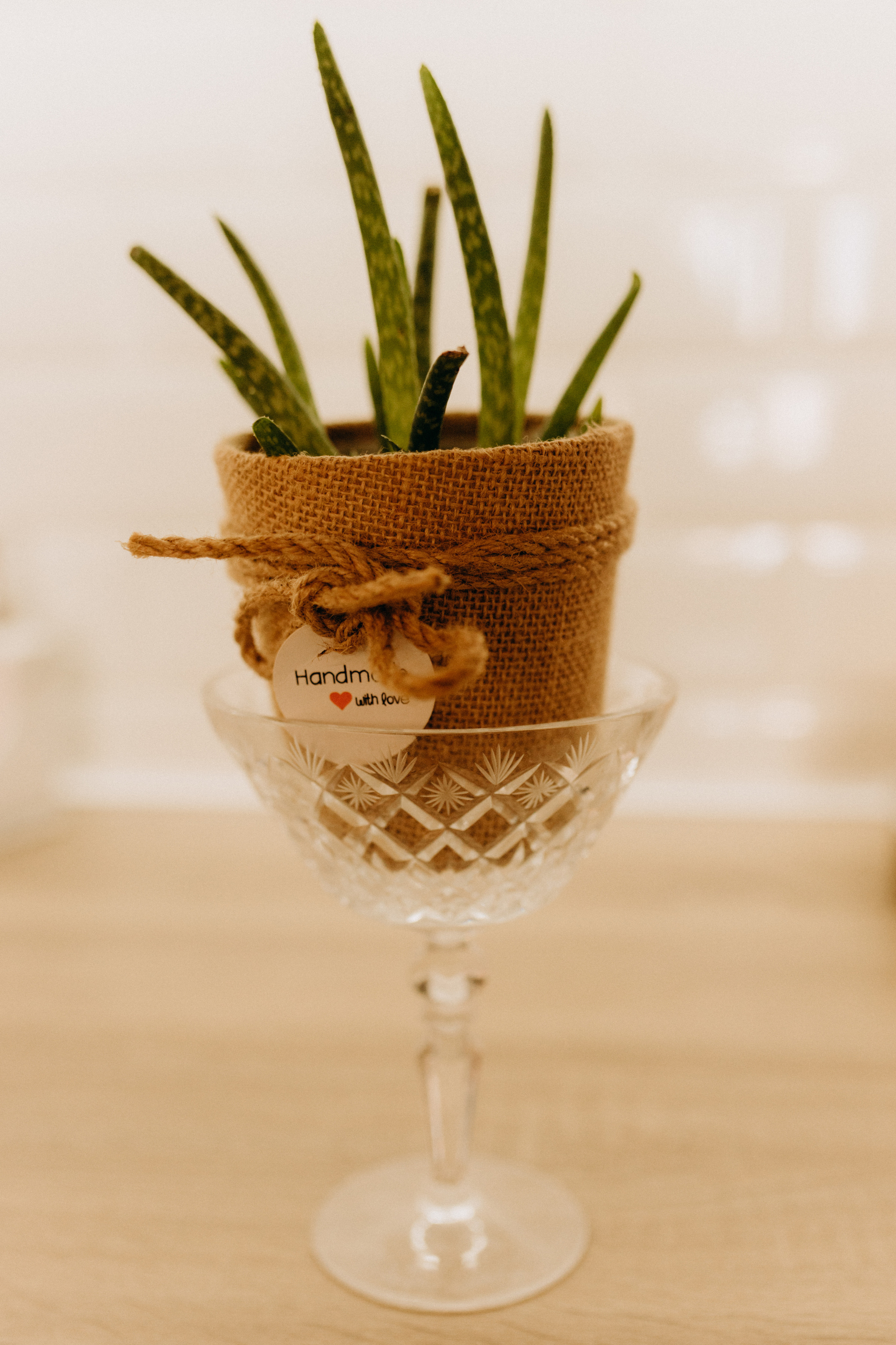 Глафіра Романівна. Весільний та сімейний фотограф Біла Церква/Київ