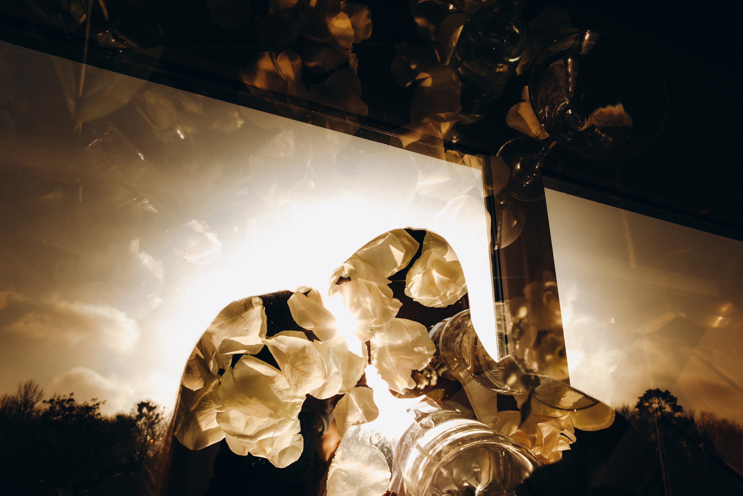 Love in the air. Весільний та сімейний фотограф Біла Церква/Київ