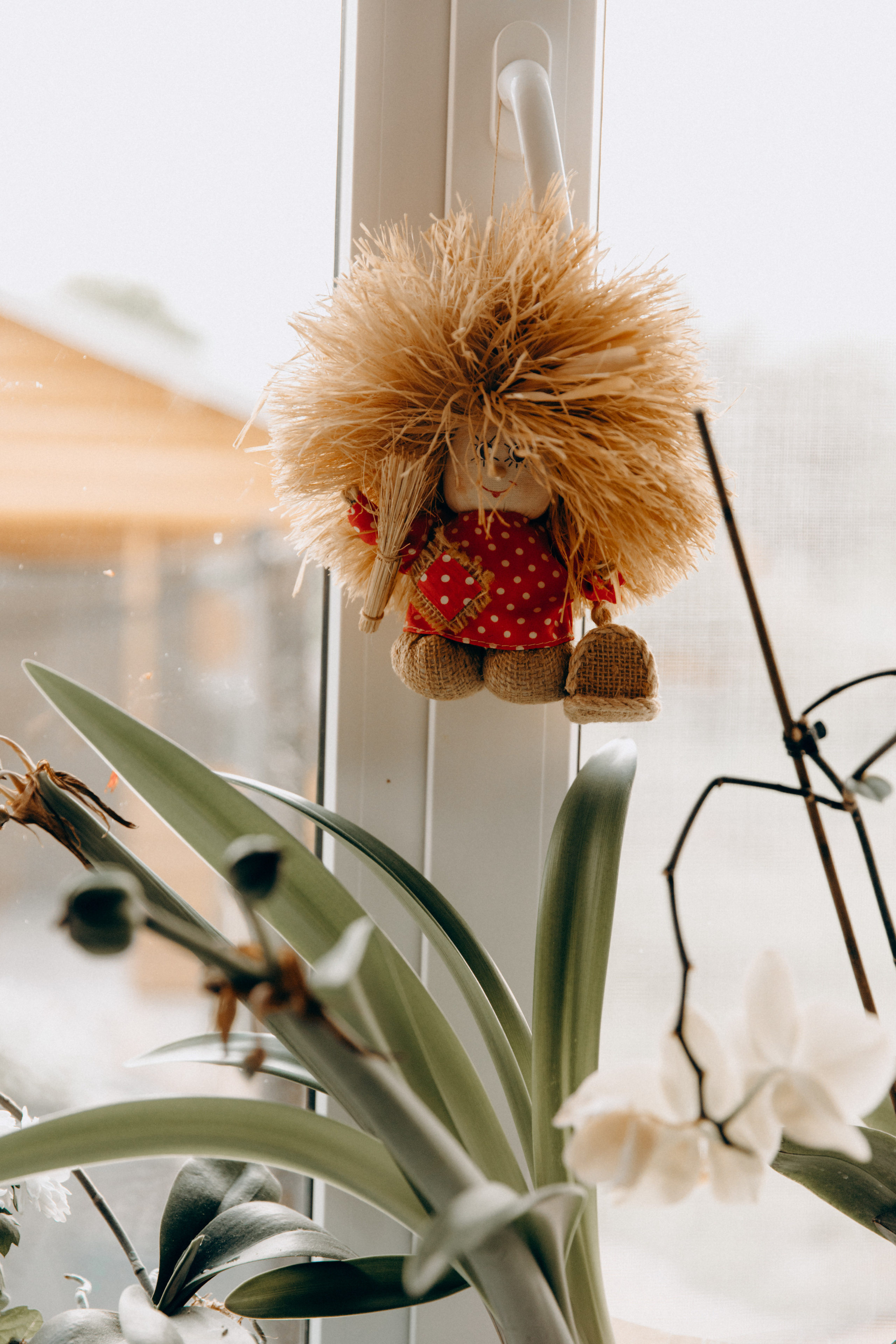 Цукерочки. Весільний та сімейний фотограф Біла Церква/Київ