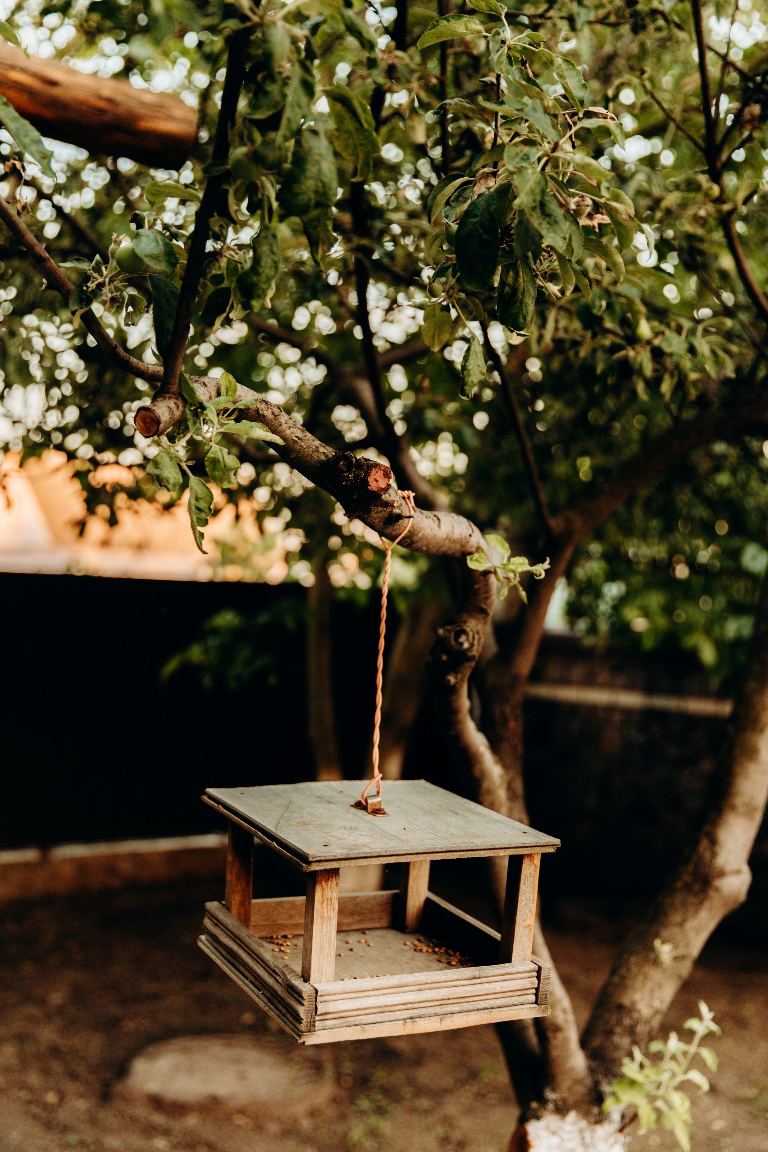 В гостях у бабулі з дідом. Весільний та сімейний фотограф Біла Церква/Київ