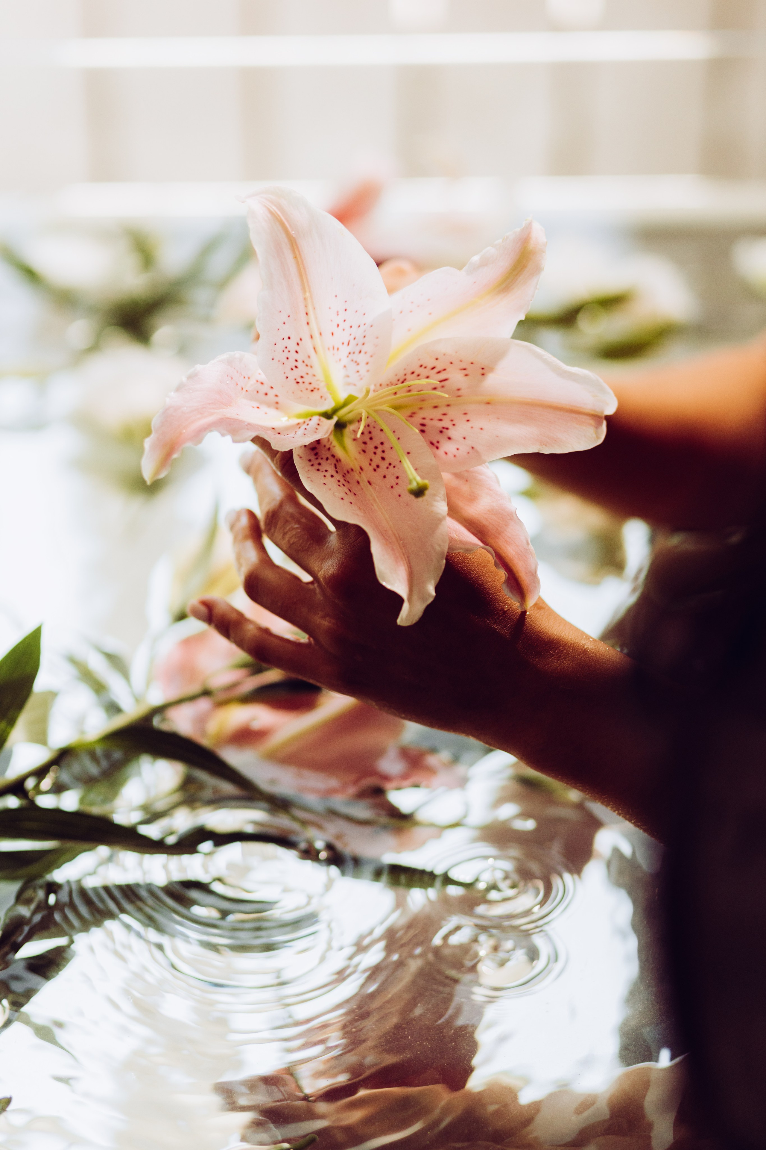 Марія Сон русалки. Весільний та сімейний фотограф Біла Церква/Київ