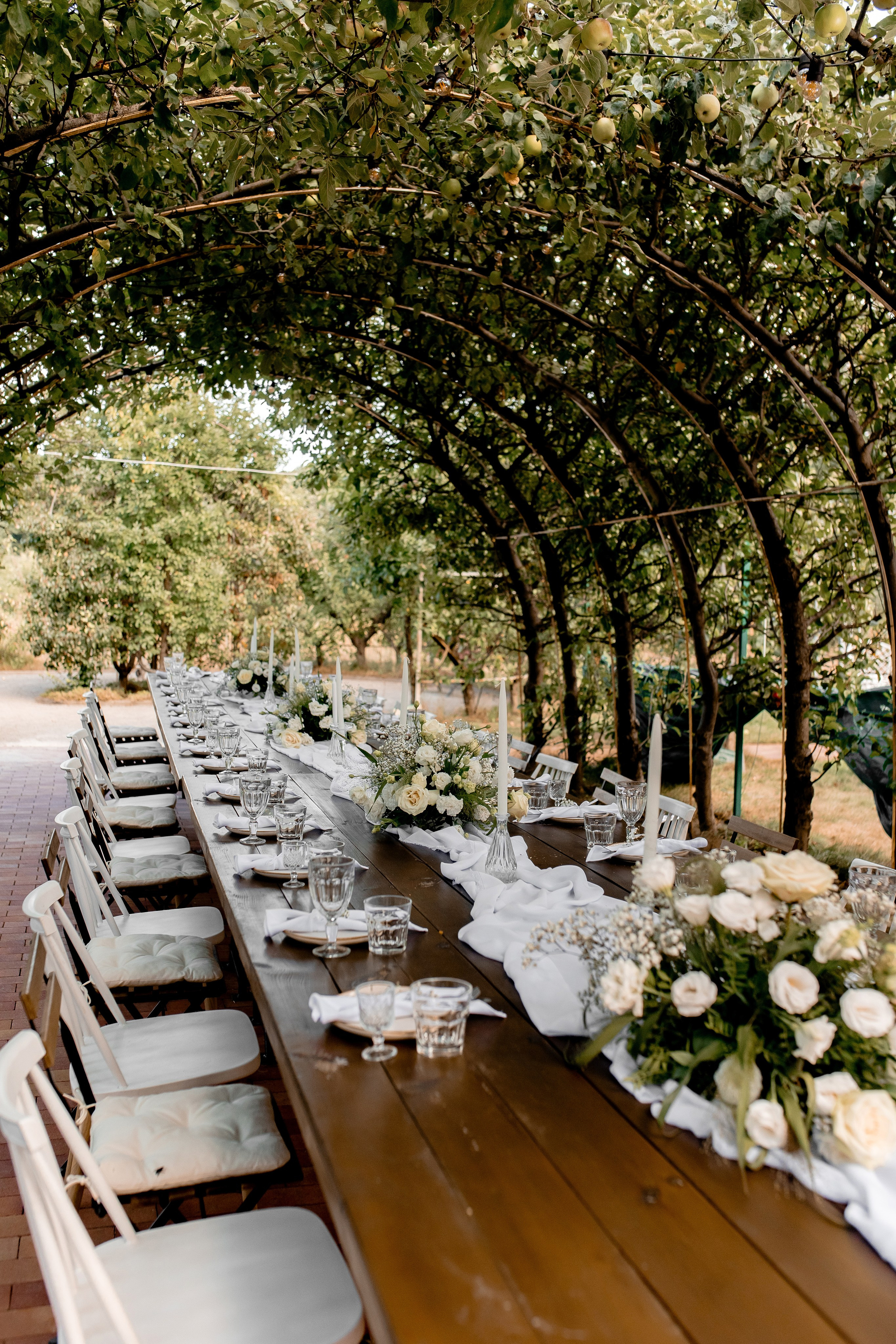 Sasha&Maksym. Весільний та сімейний фотограф Біла Церква/Київ