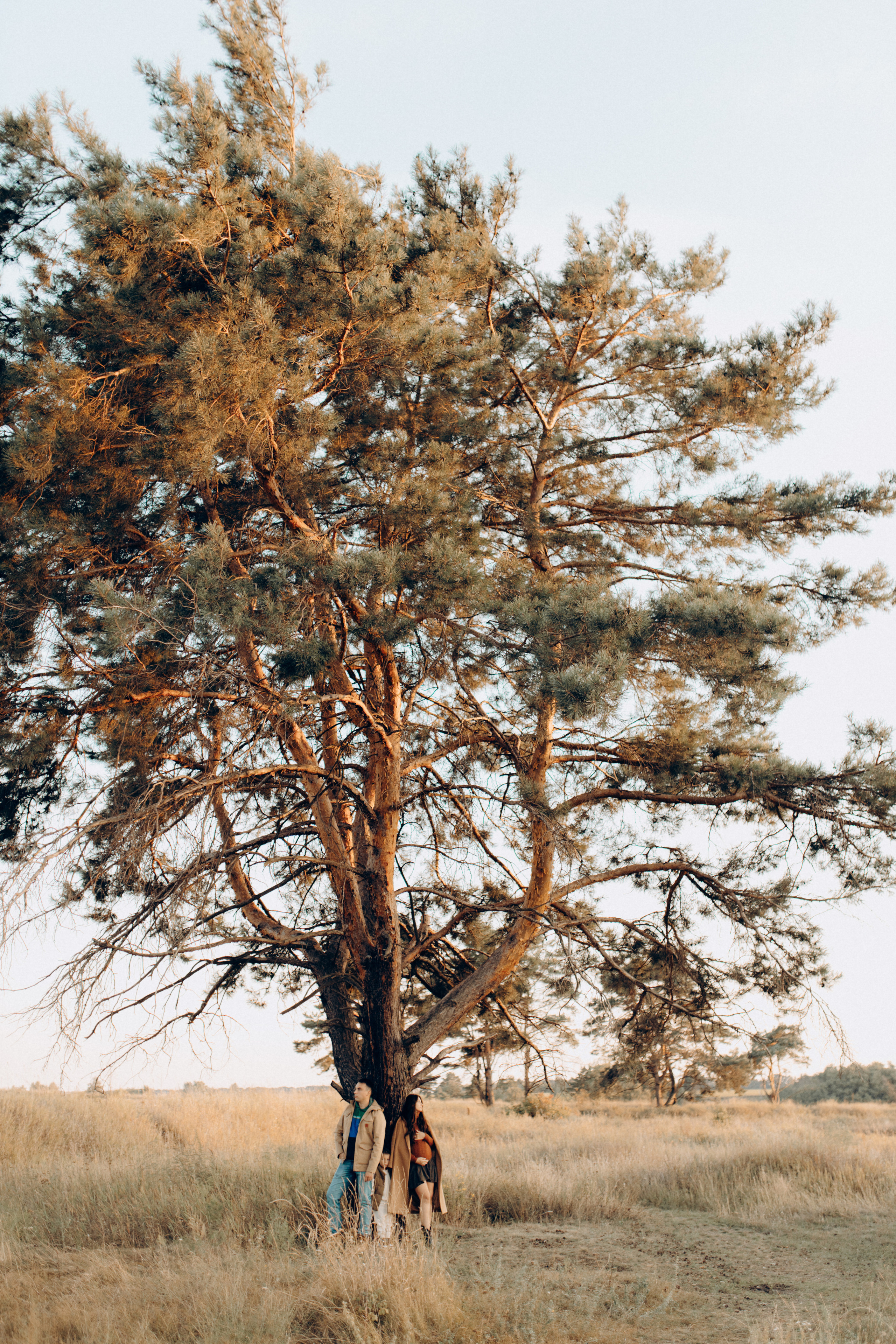 Сім’я Маргарити і Віталія. Весільний та сімейний фотограф Біла Церква/Київ