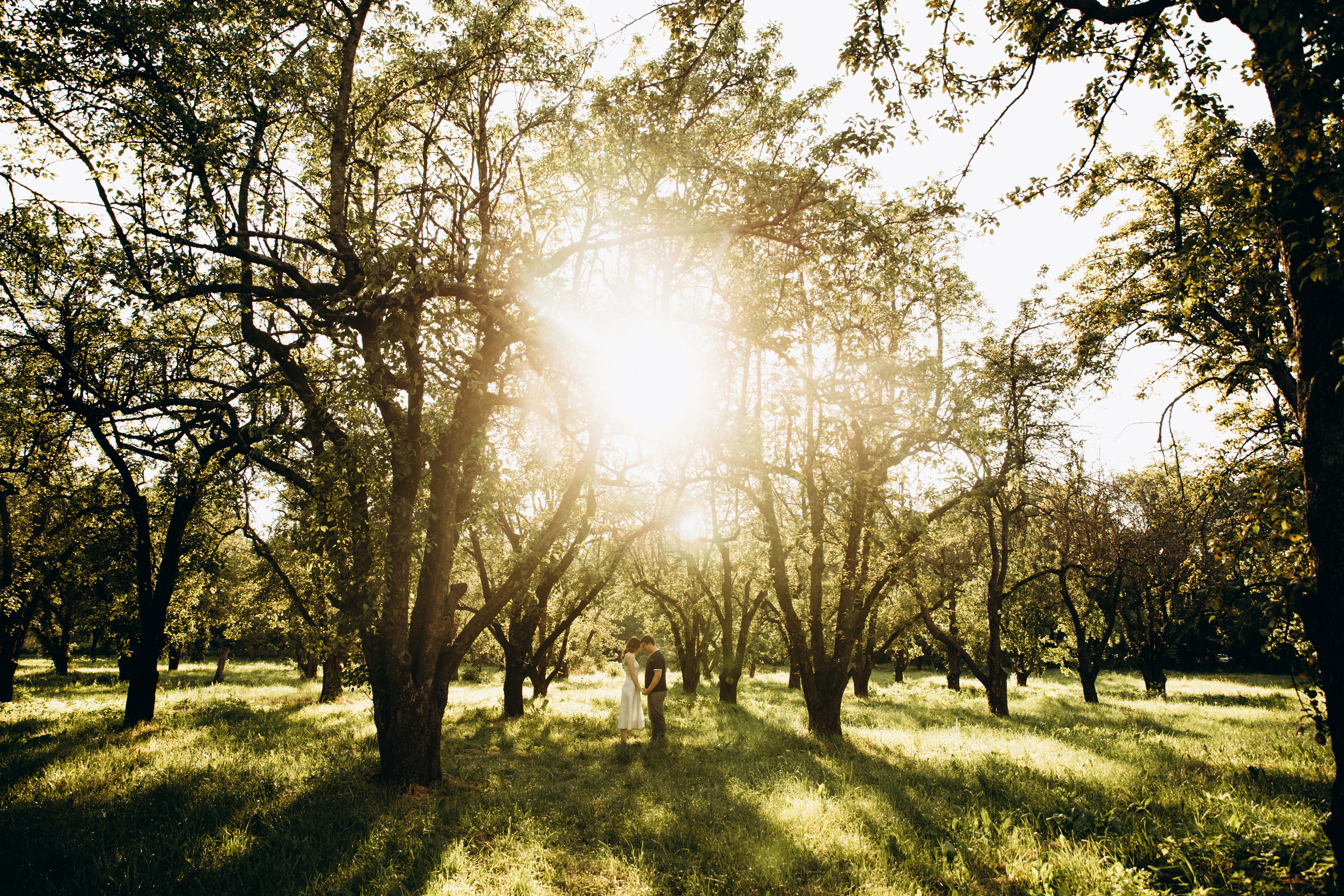 Victor&AleksandRA. Весільний та сімейний фотограф Біла Церква/Київ