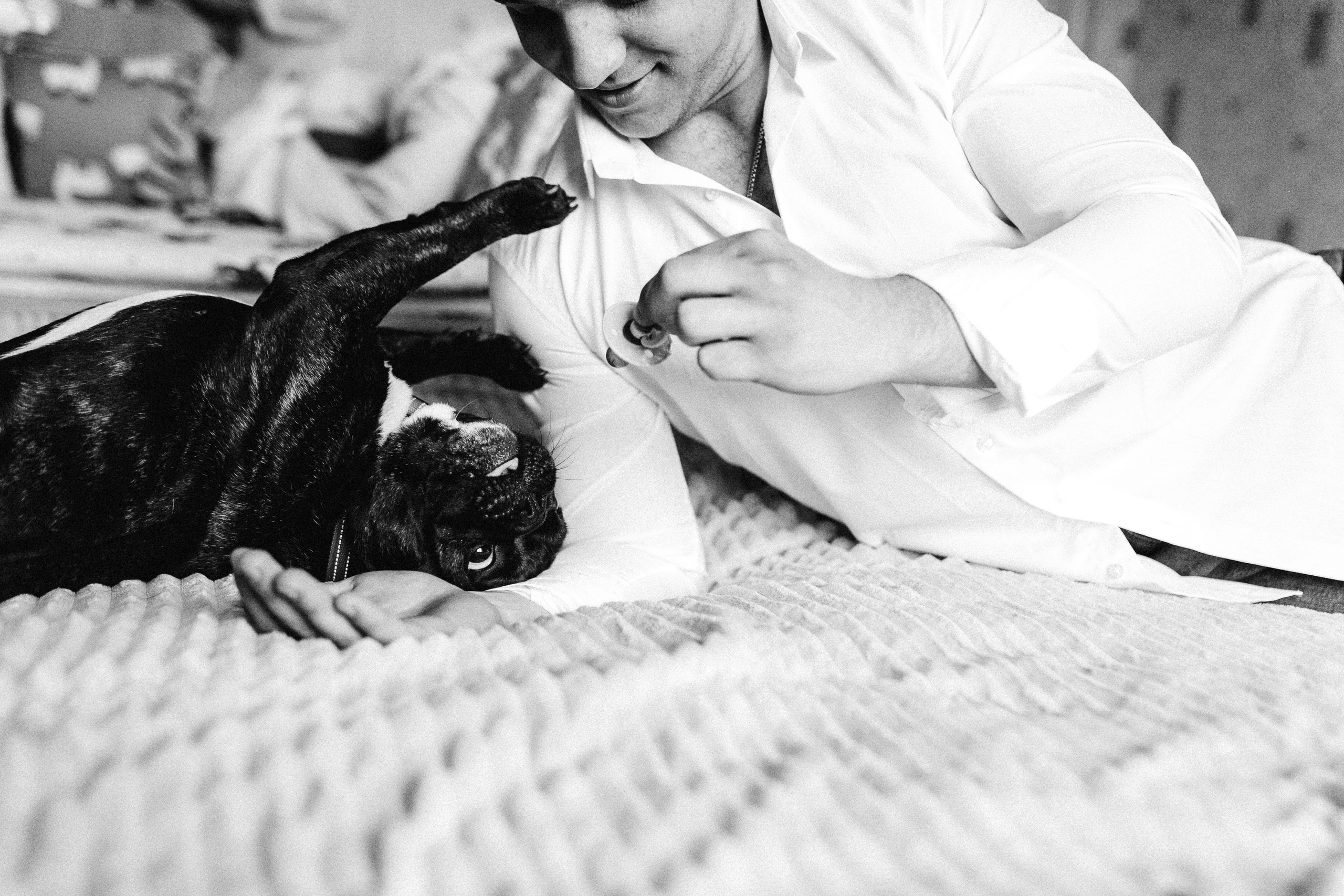 Влад, Яна, Дьома. Весільний та сімейний фотограф Біла Церква/Київ