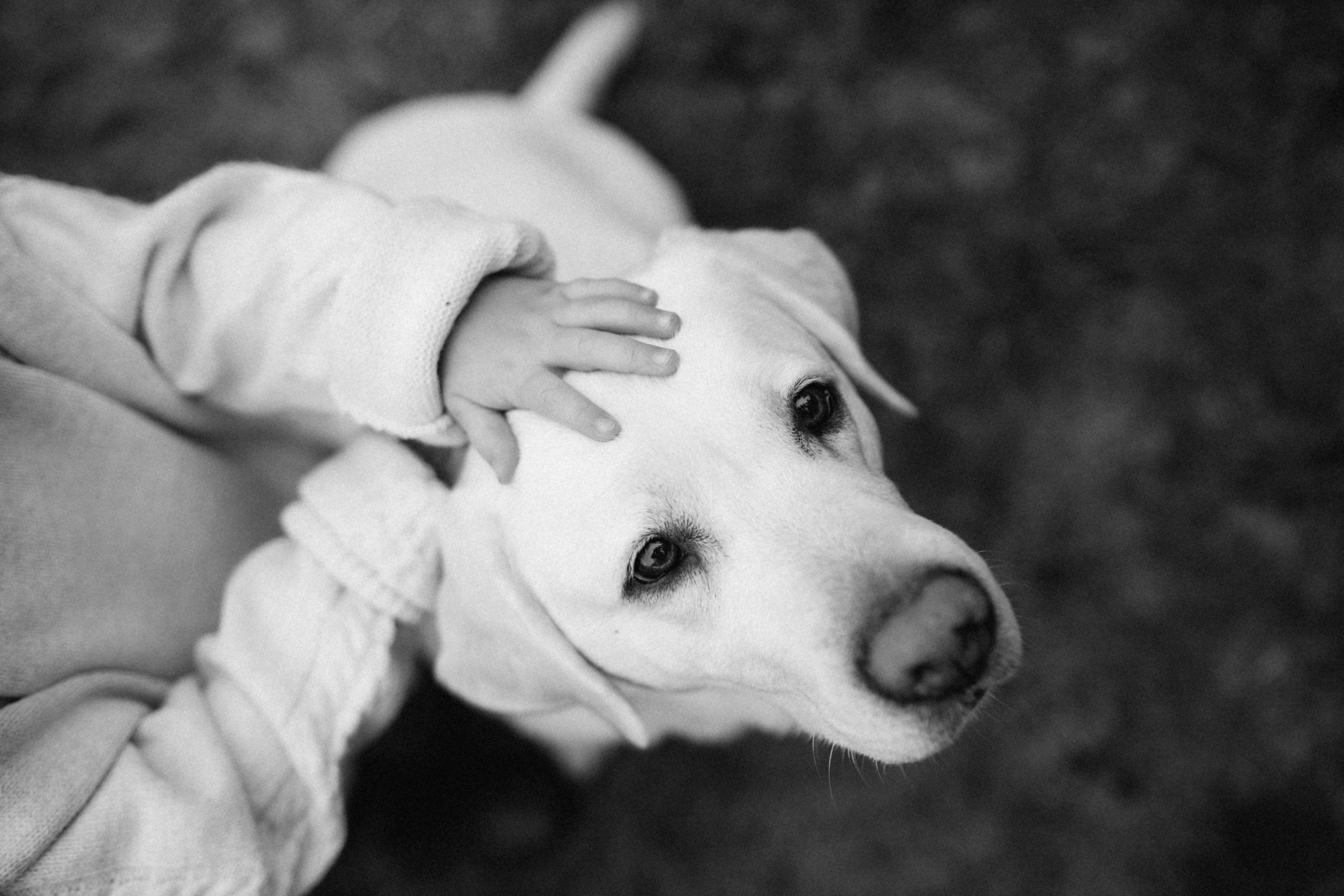 В очікуванні. Весільний та сімейний фотограф Біла Церква/Київ