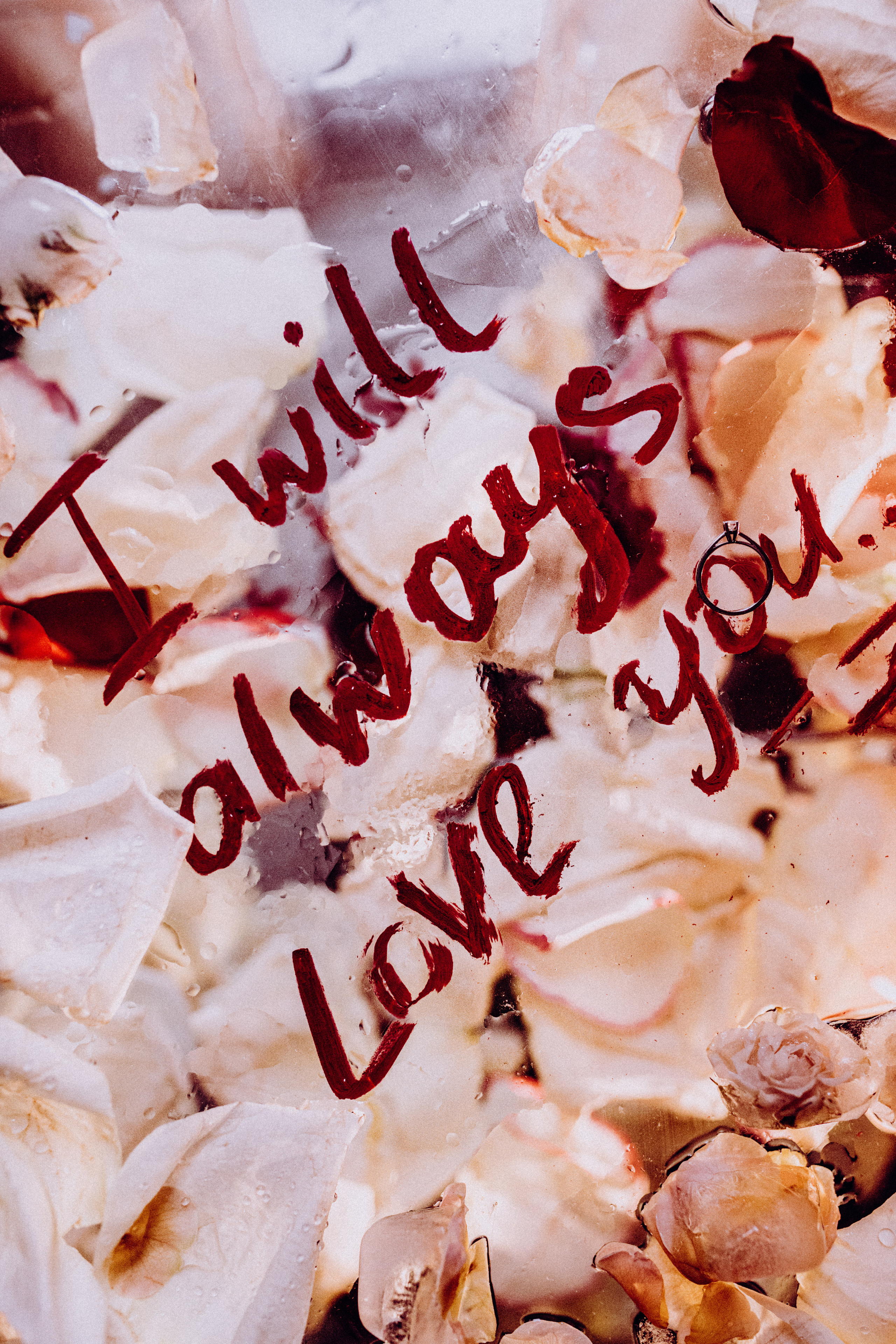 Весільний та сімейний фотограф Біла Церква/Київ