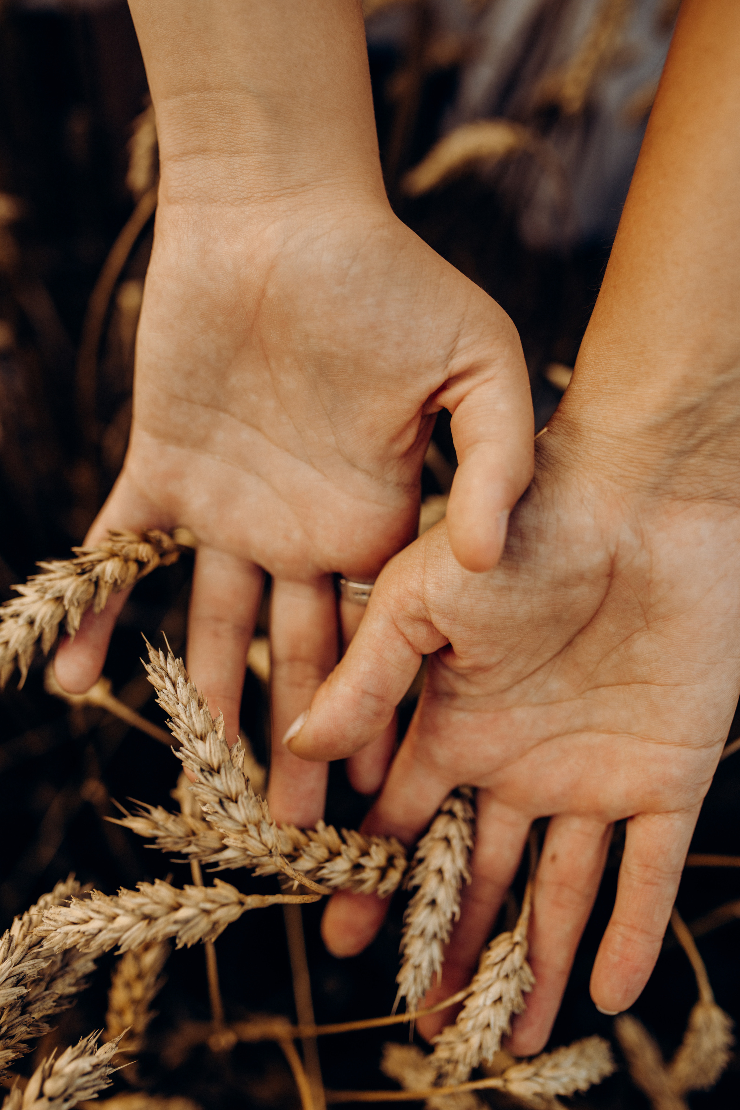 Родина. Весільний та сімейний фотограф Біла Церква/Київ