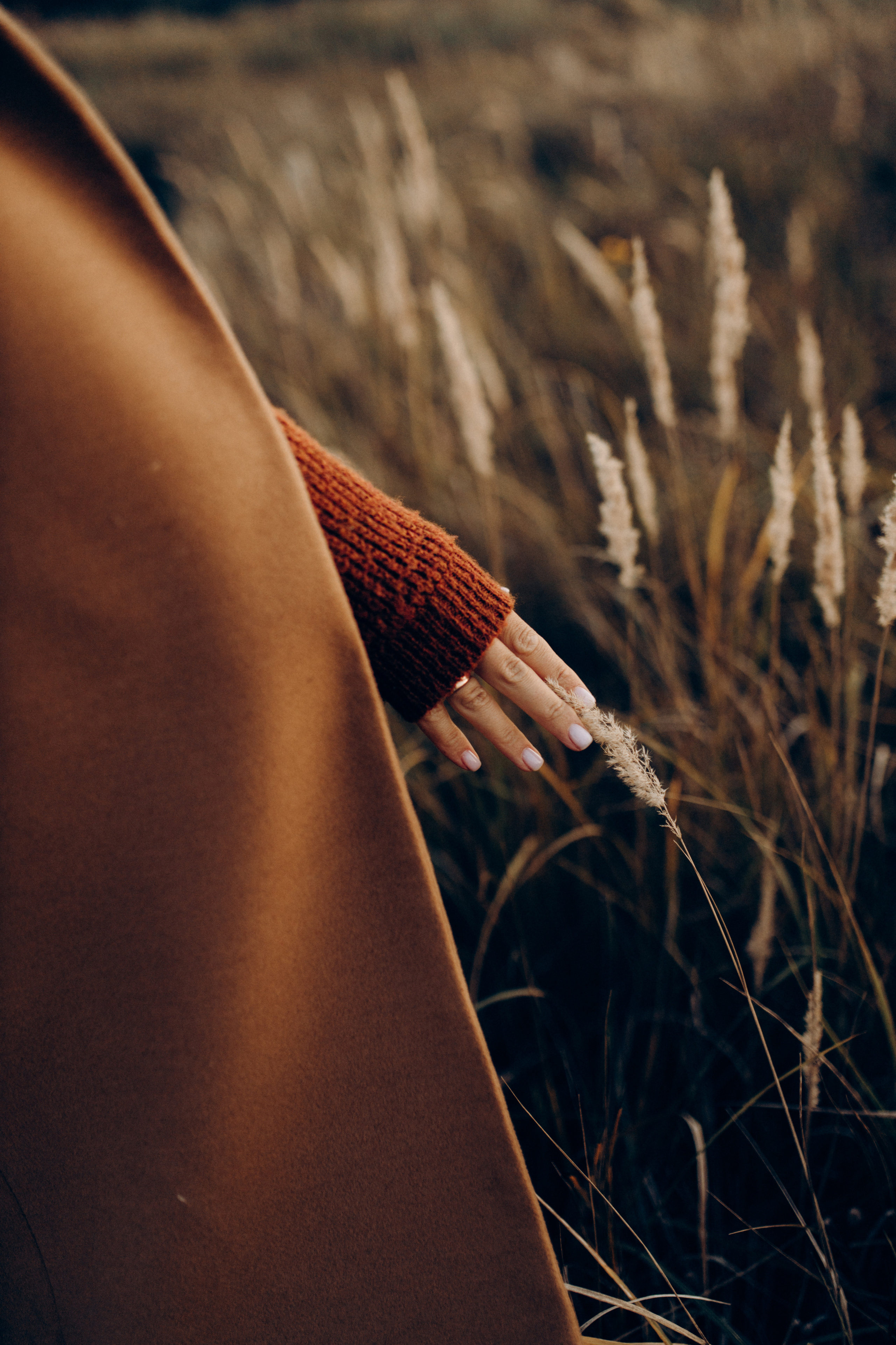 Сім’я Маргарити і Віталія. Весільний та сімейний фотограф Біла Церква/Київ