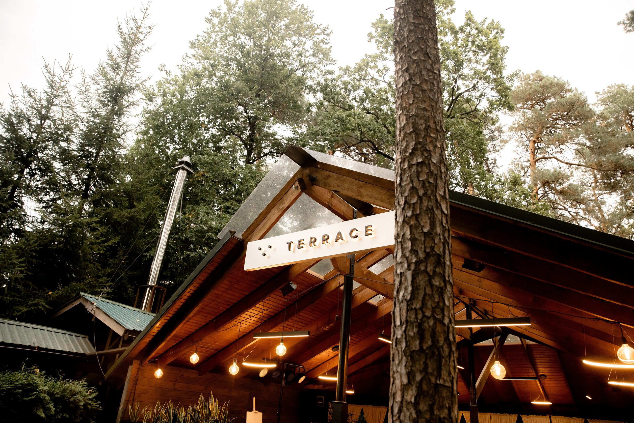 Yuliya&Viktor. Весільний та сімейний фотограф Біла Церква/Київ