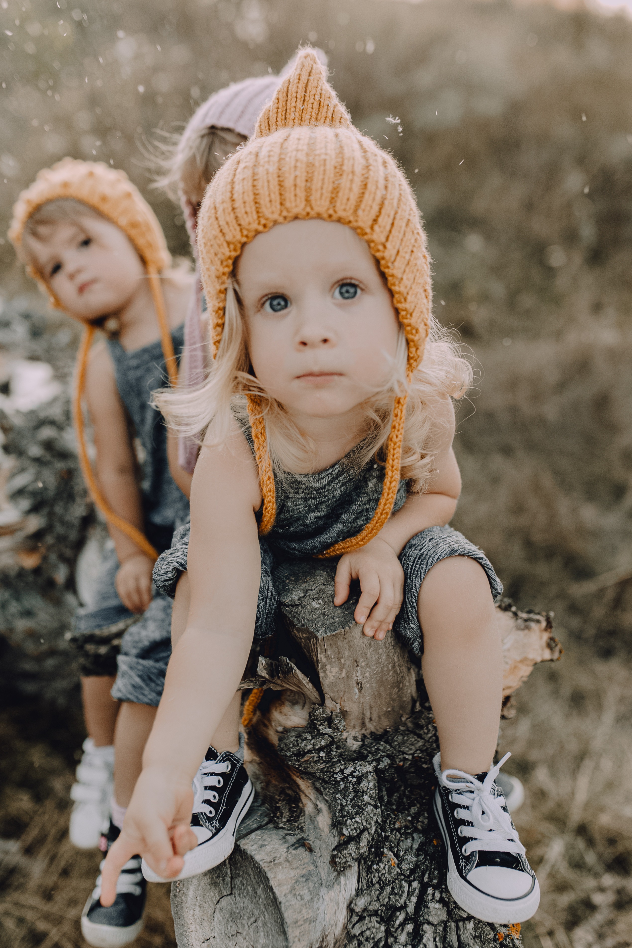 Bookahi. Весільний та сімейний фотограф Біла Церква/Київ