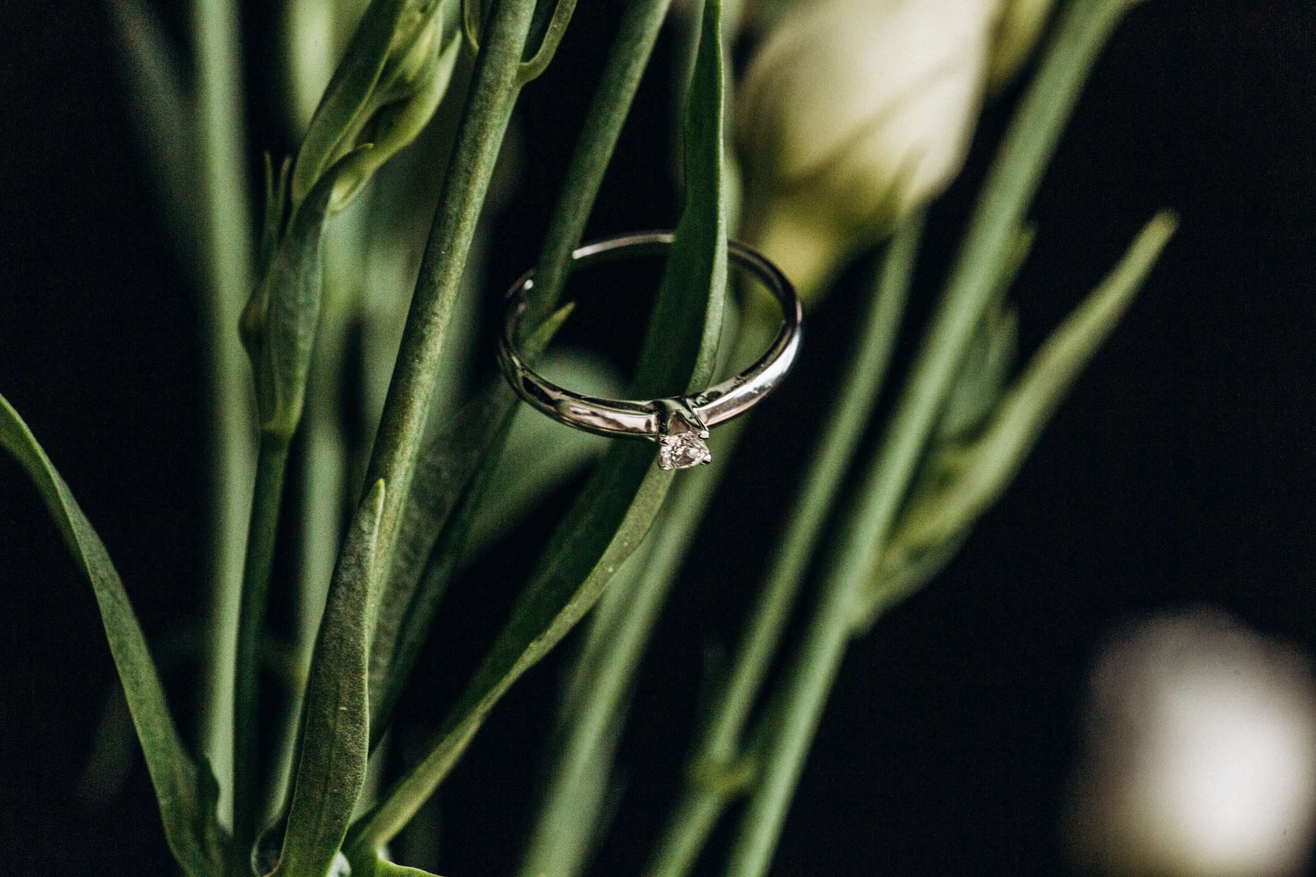 Love in the air. Весільний та сімейний фотограф Біла Церква/Київ