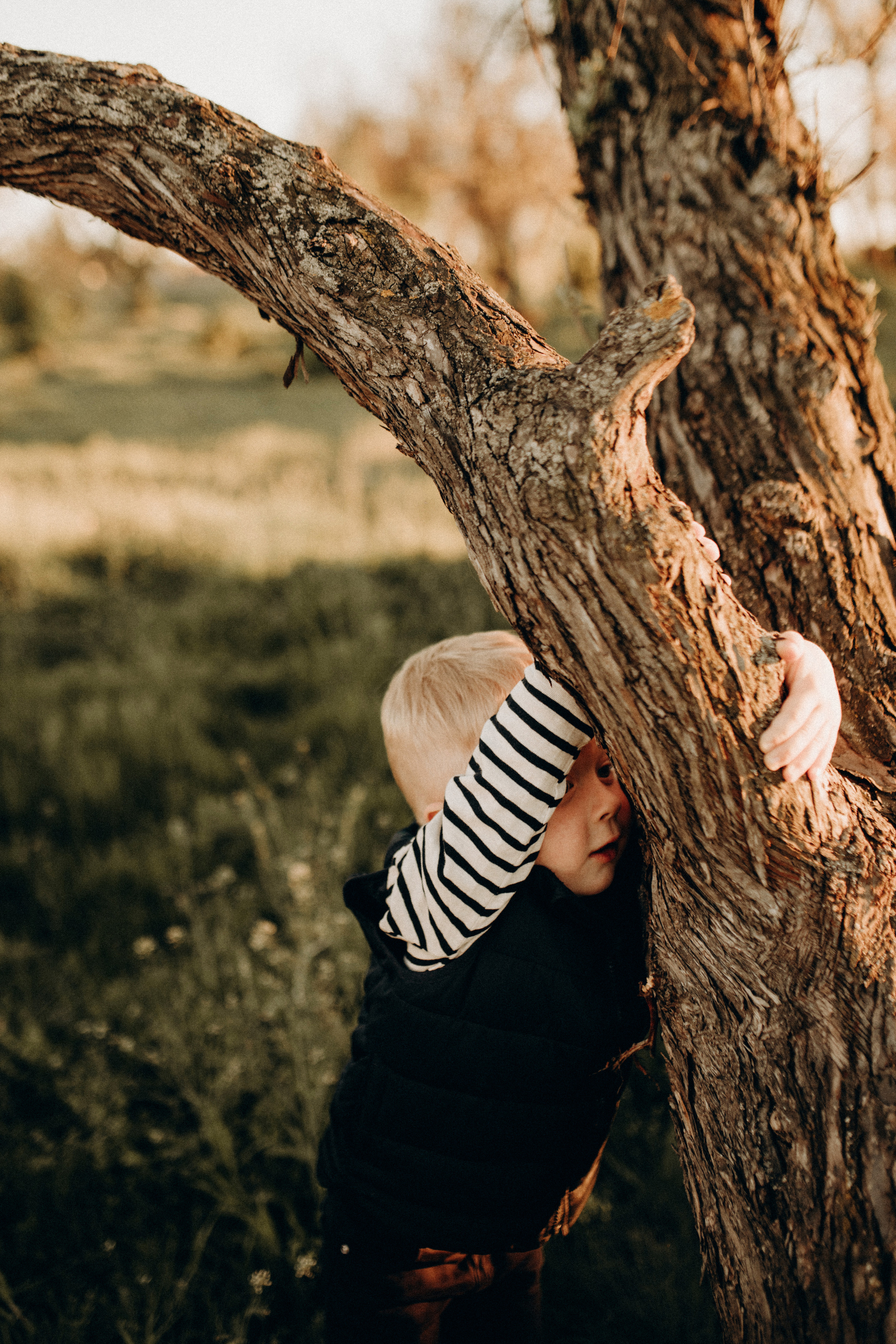 Ляльковий дім. Весільний та сімейний фотограф Біла Церква/Київ