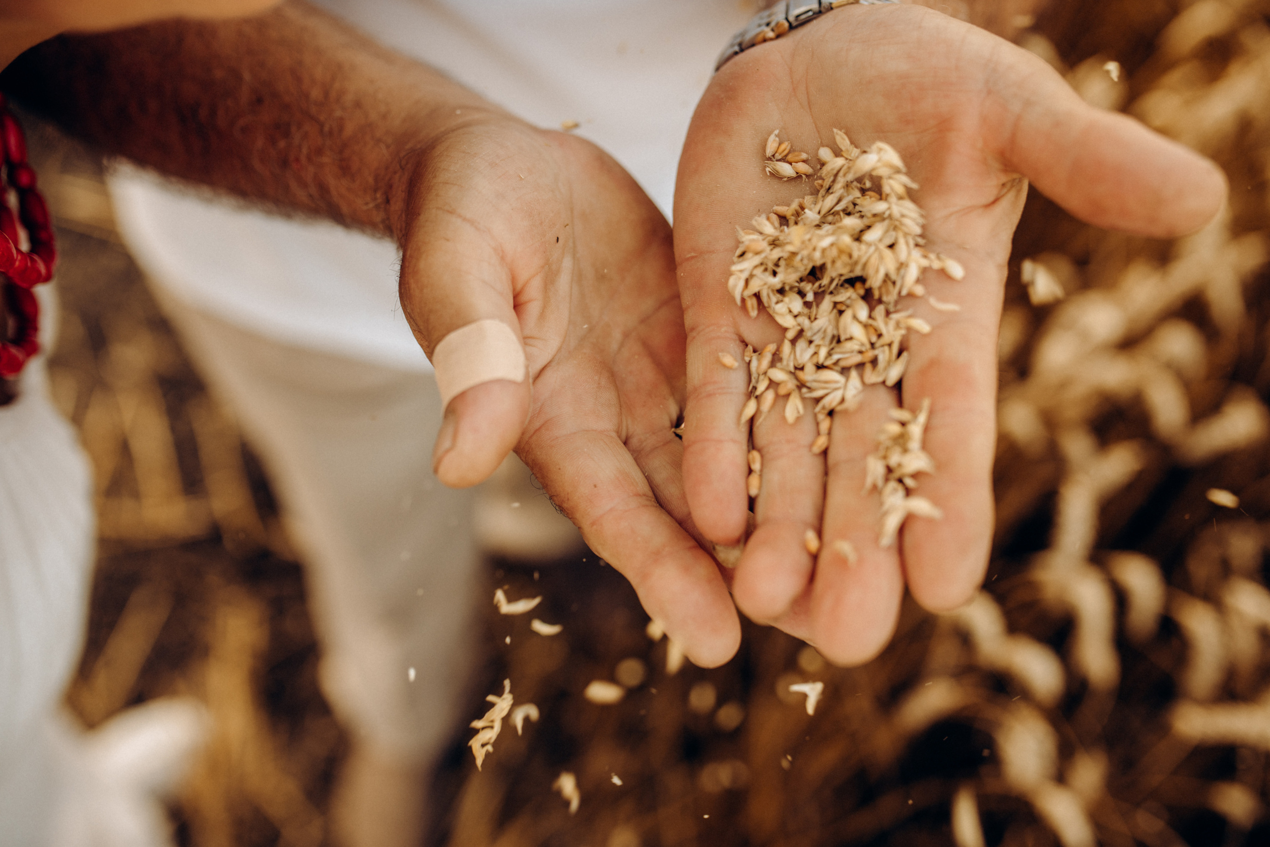 Родина. Весільний та сімейний фотограф Біла Церква/Київ