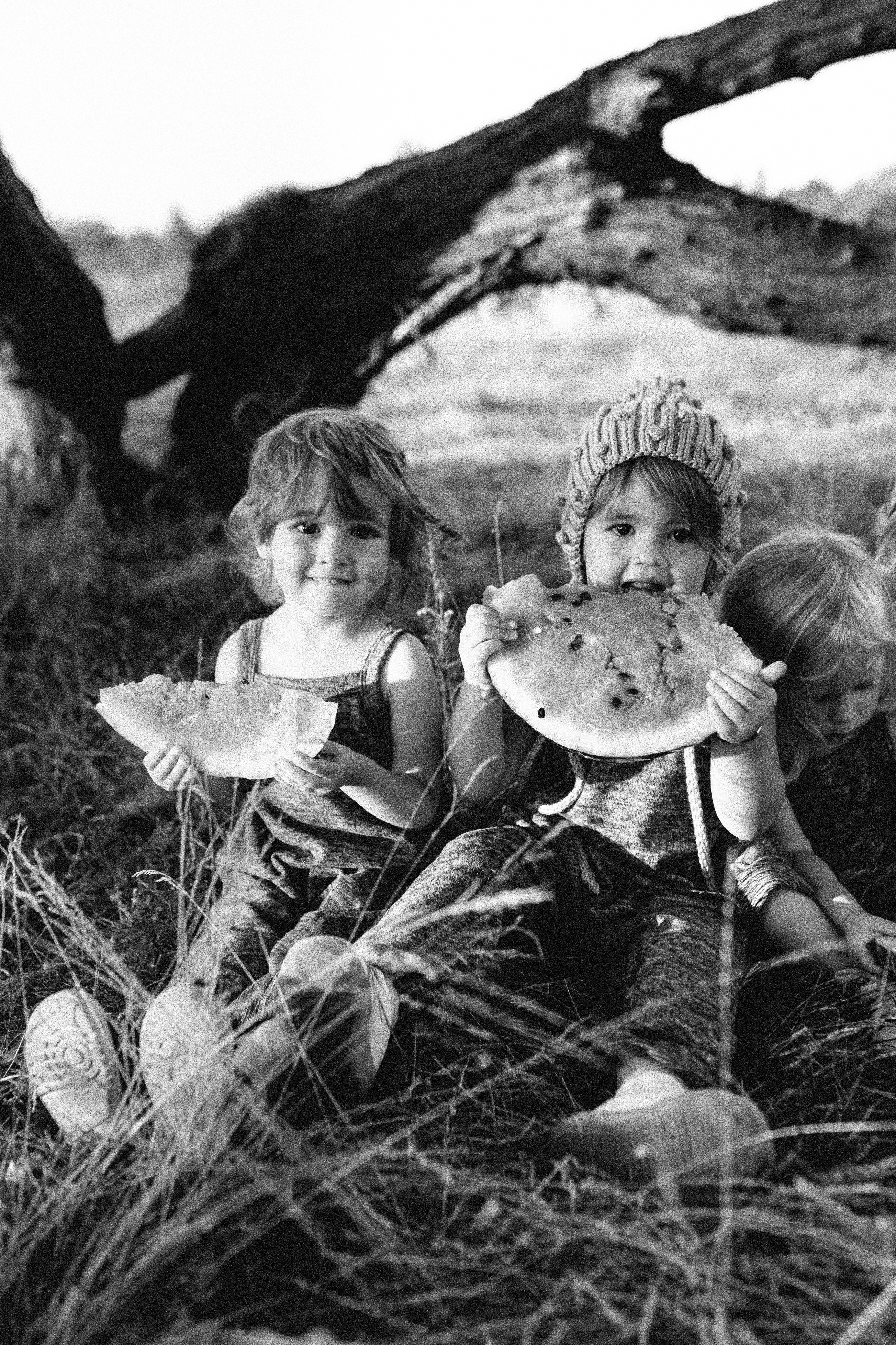 Bookahi. Весільний та сімейний фотограф Біла Церква/Київ