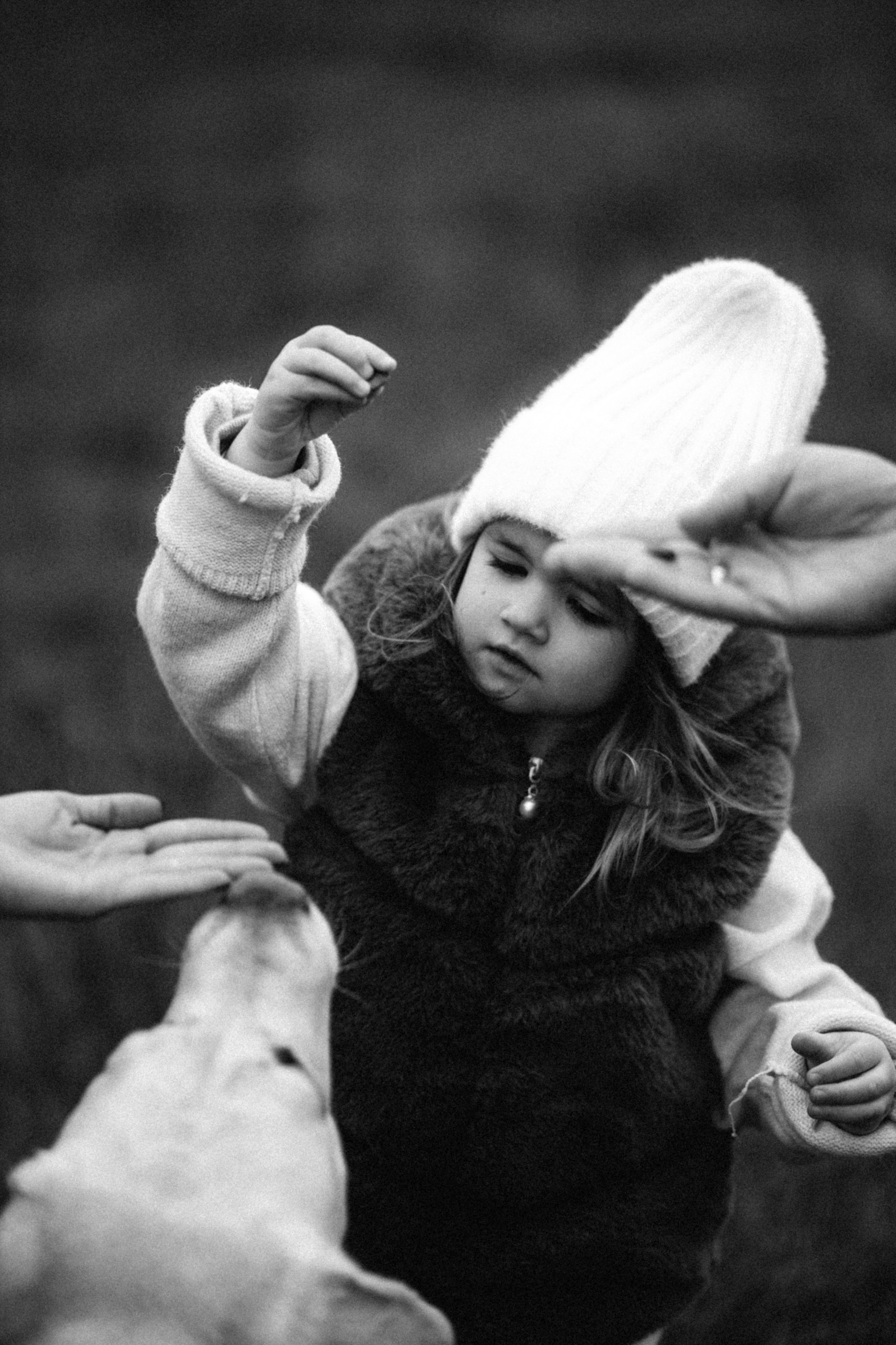 В очікуванні. Весільний та сімейний фотограф Біла Церква/Київ