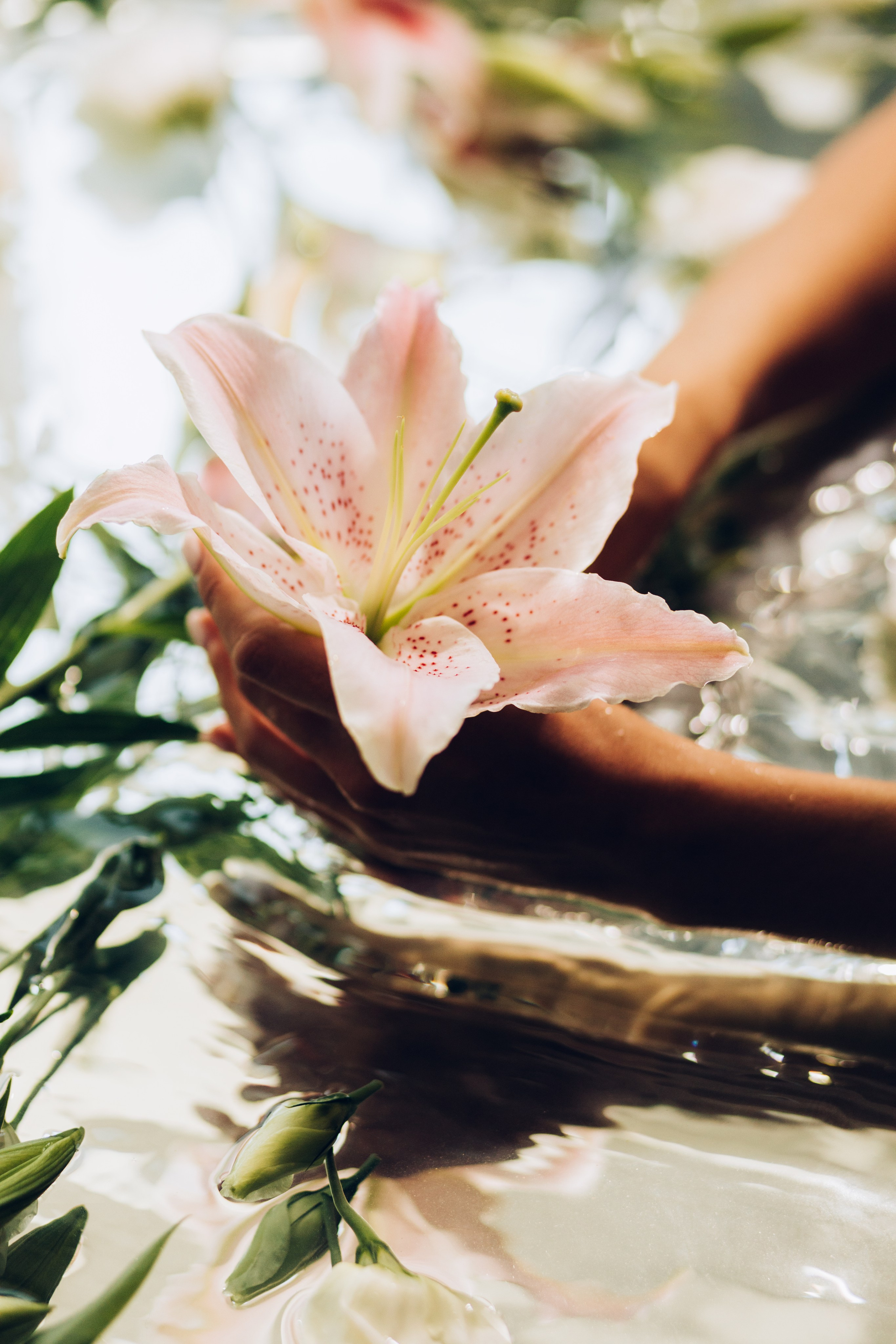 Марія Сон русалки. Весільний та сімейний фотограф Біла Церква/Київ