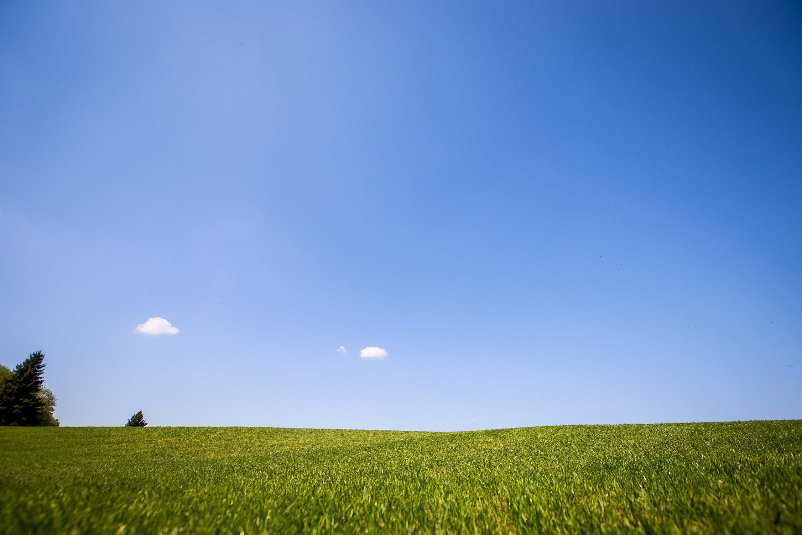 ART. Photographer Andrey Nekrasov