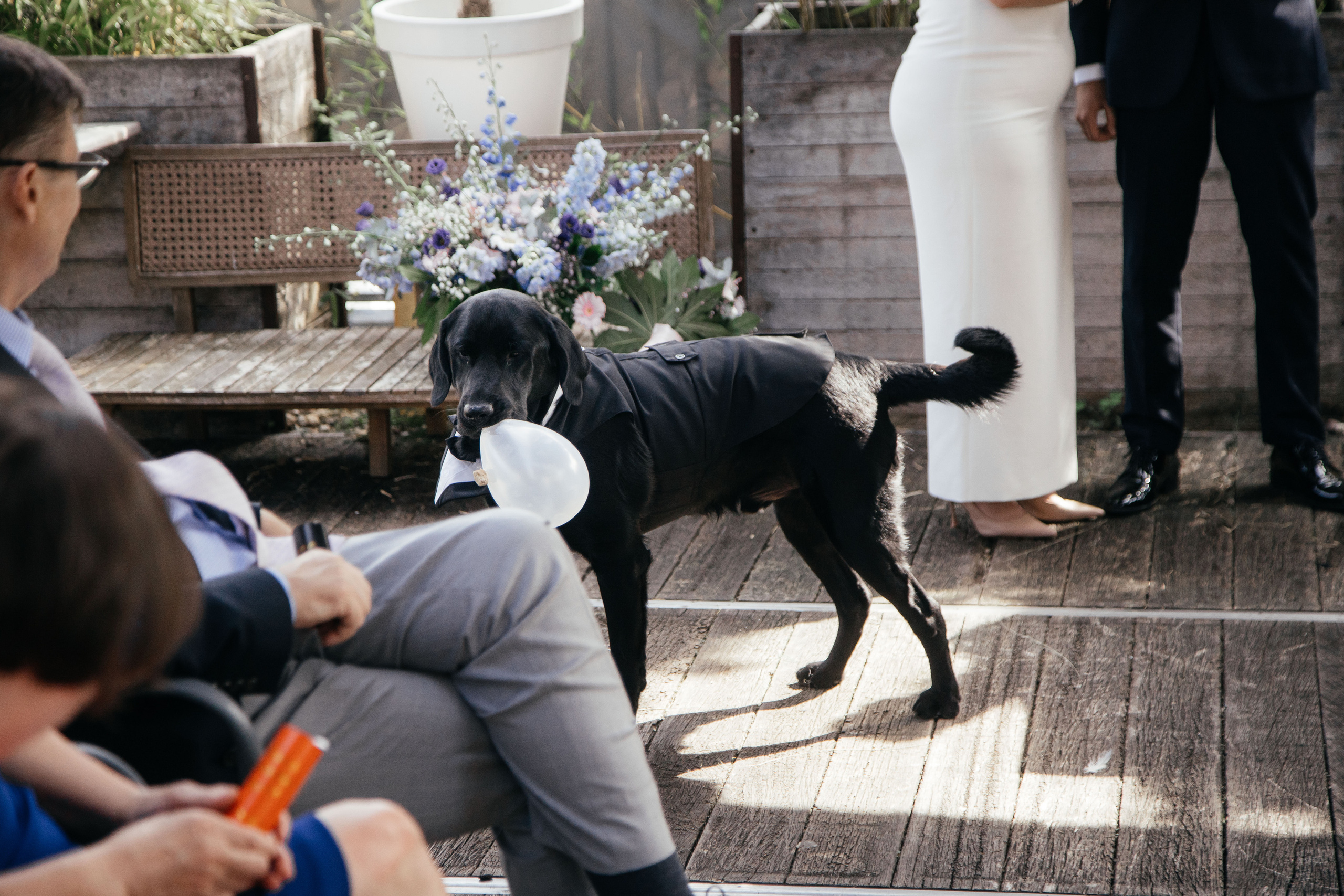 Wedding photographer Netherlands. Photographer Andrey Nekrasov