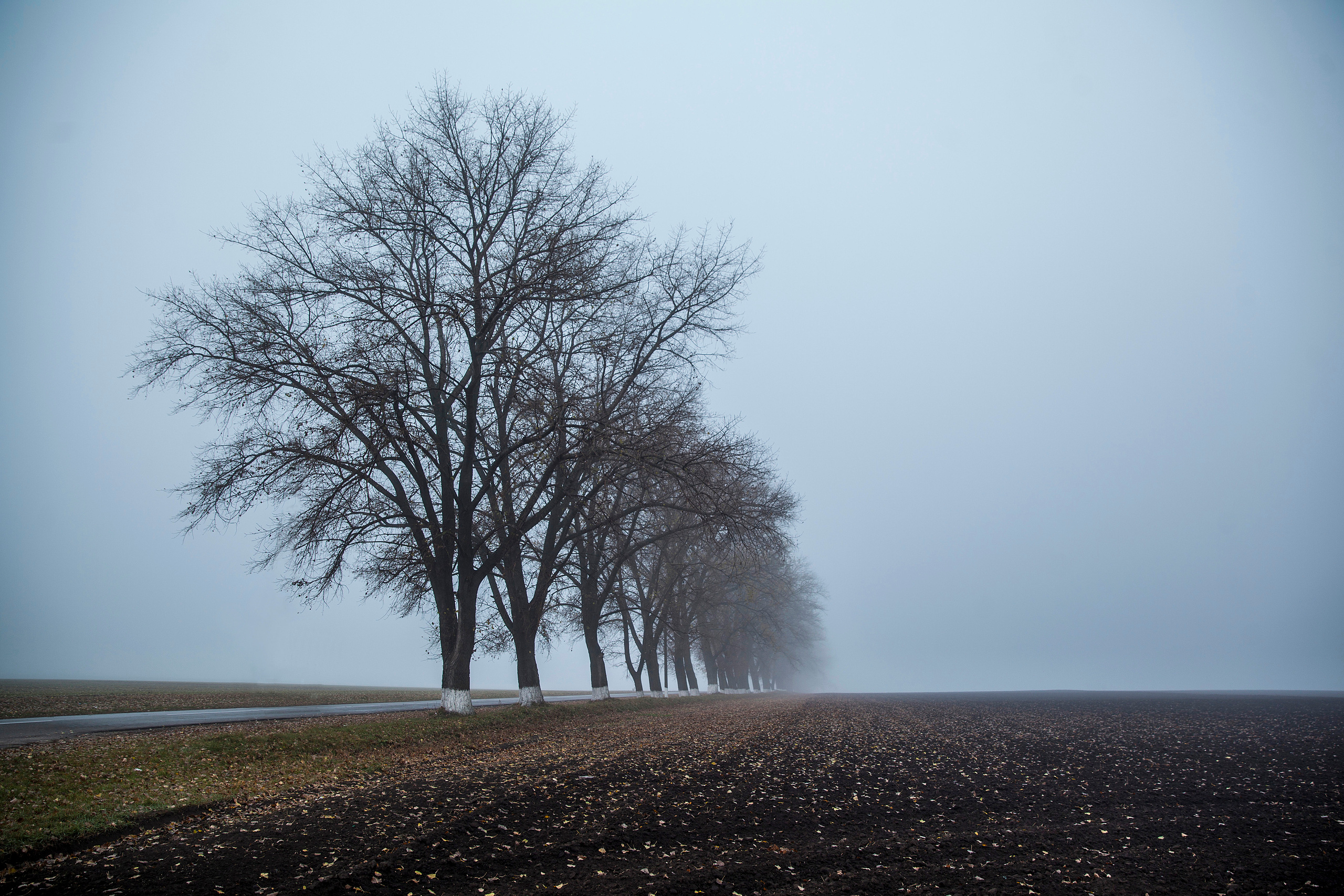 ART. Photographer Andrey Nekrasov