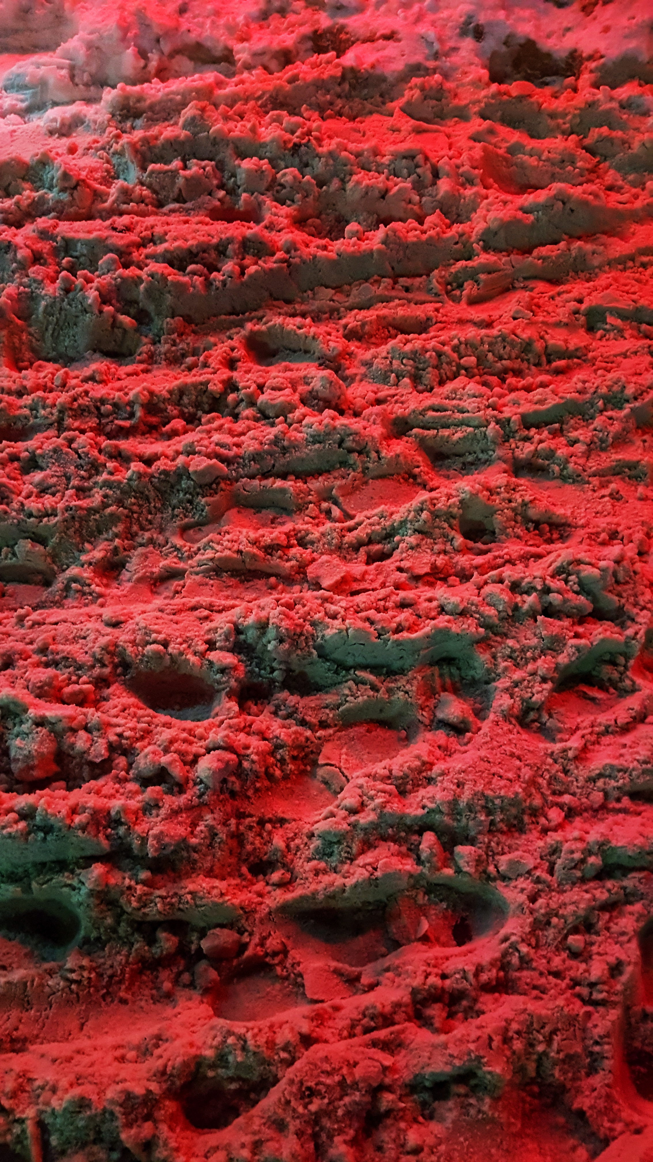 ART. Photographer Andrey Nekrasov