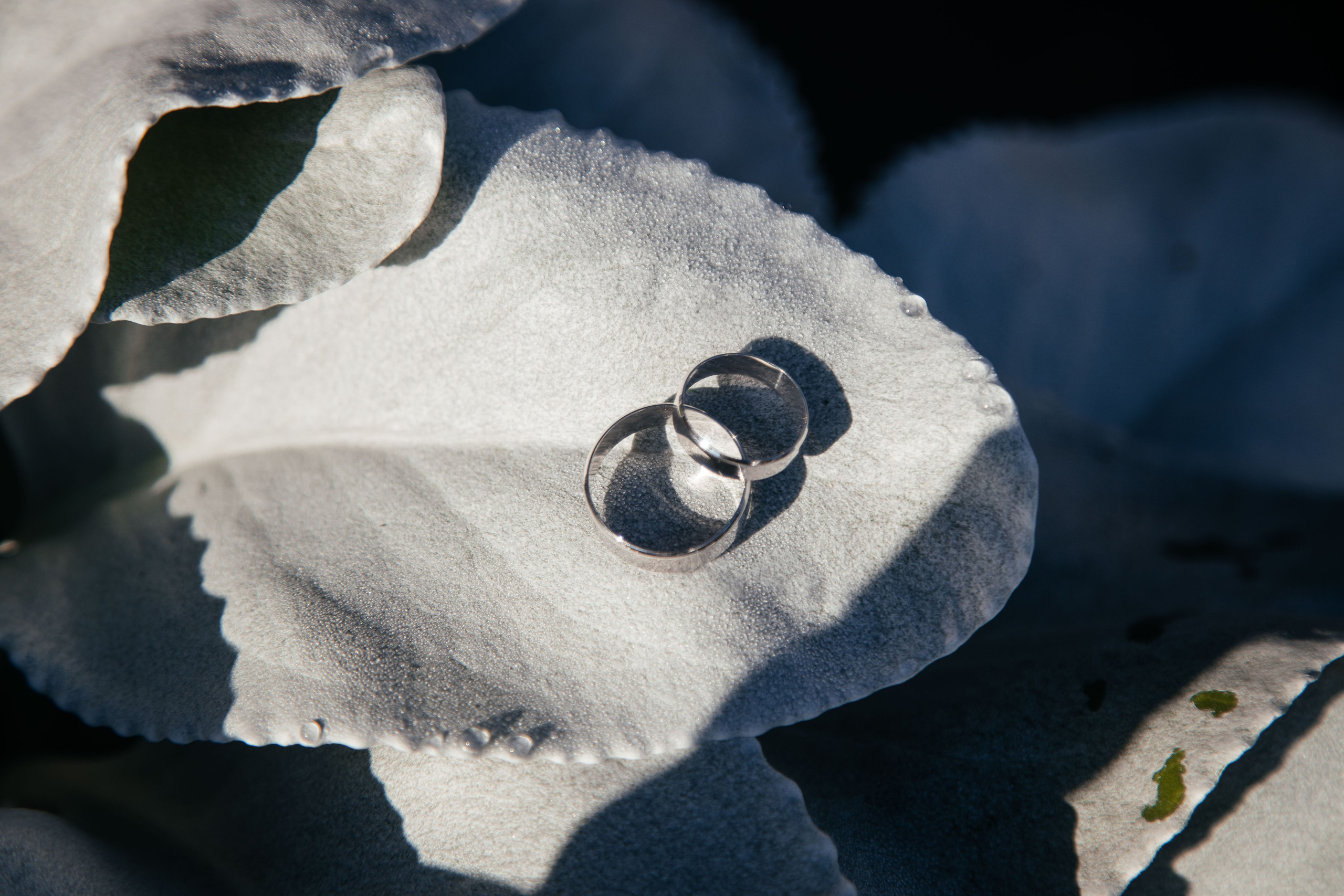 Wedding photographer Netherlands. Photographer Andrey Nekrasov