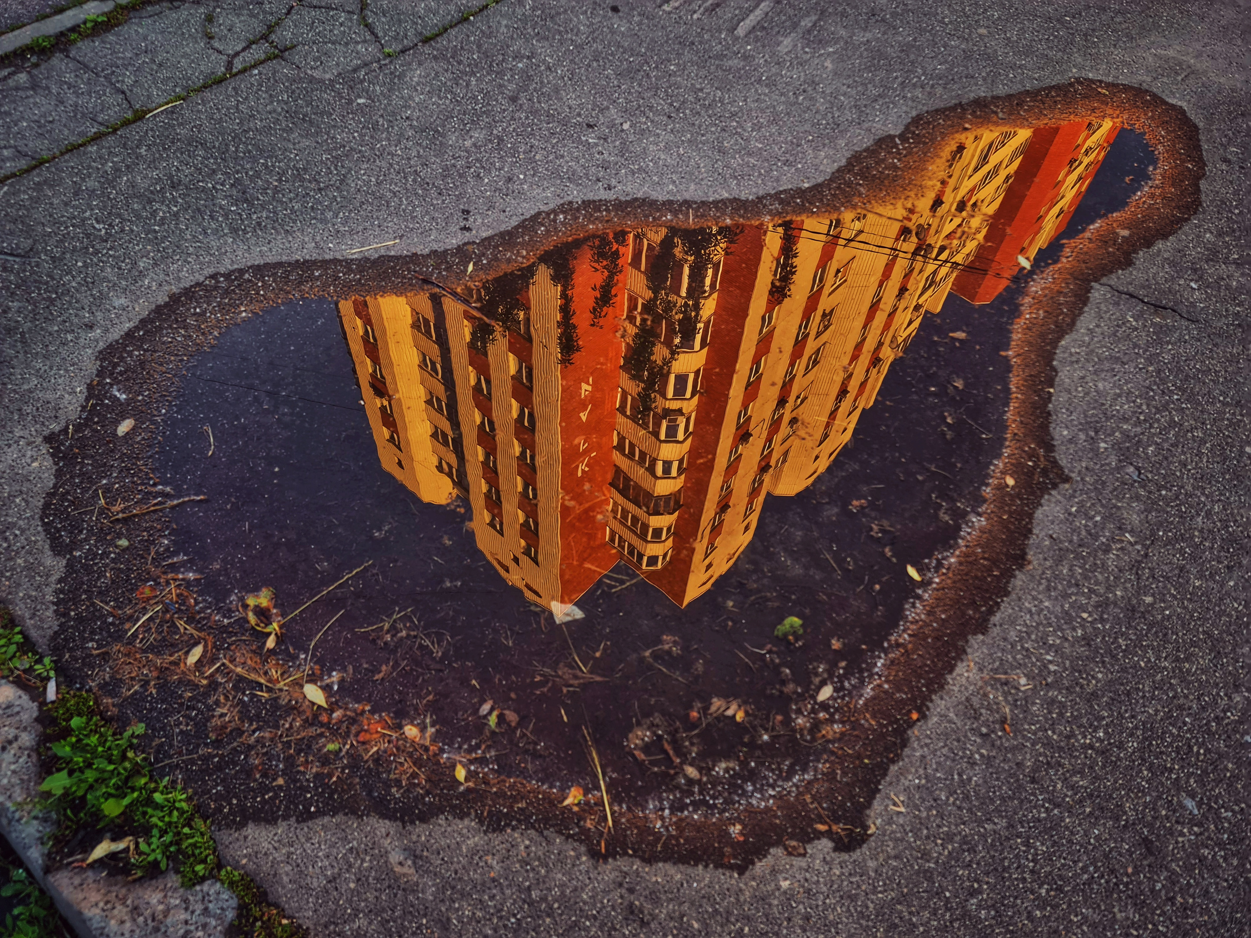 ART. Photographer Andrey Nekrasov