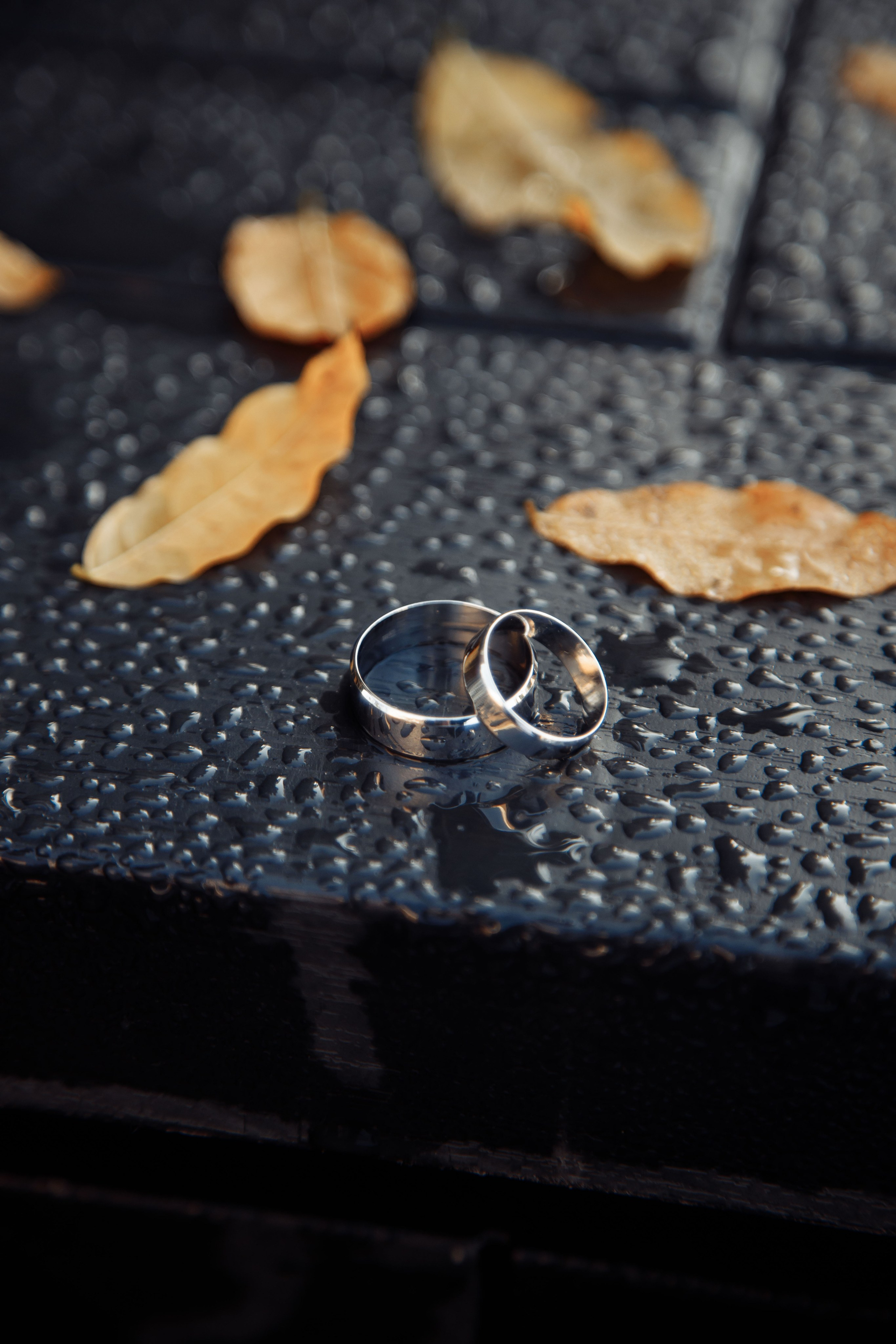 Wedding photographer Netherlands. Photographer Andrey Nekrasov