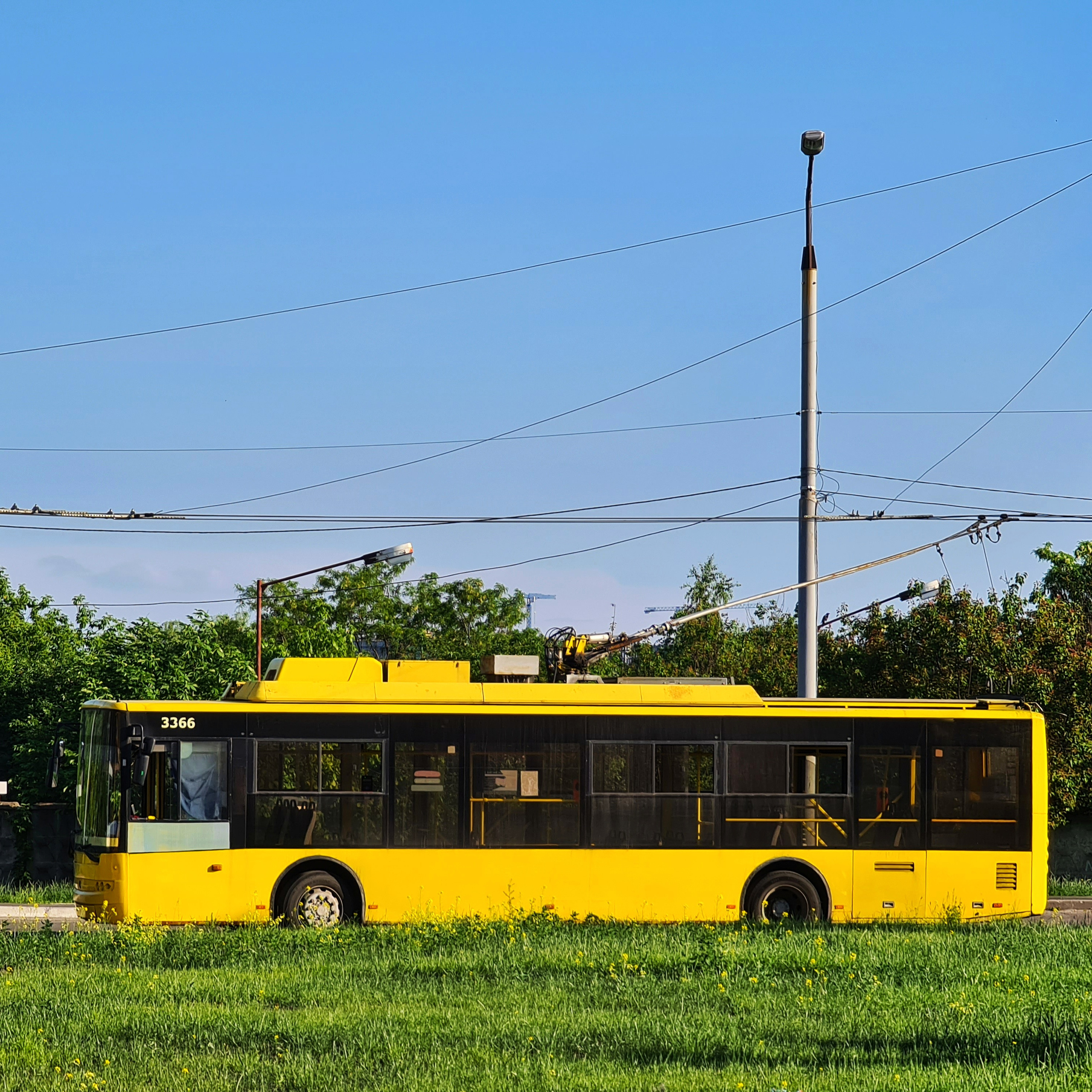 ART. Photographer Andrey Nekrasov