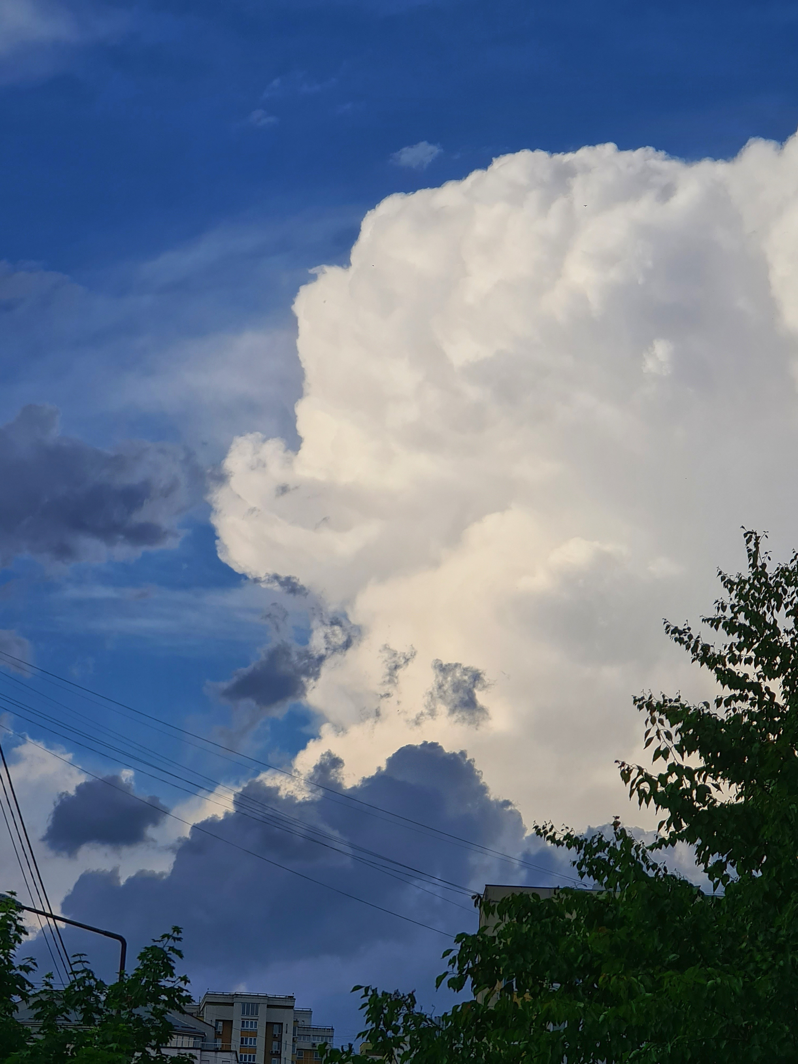 ART. Photographer Andrey Nekrasov