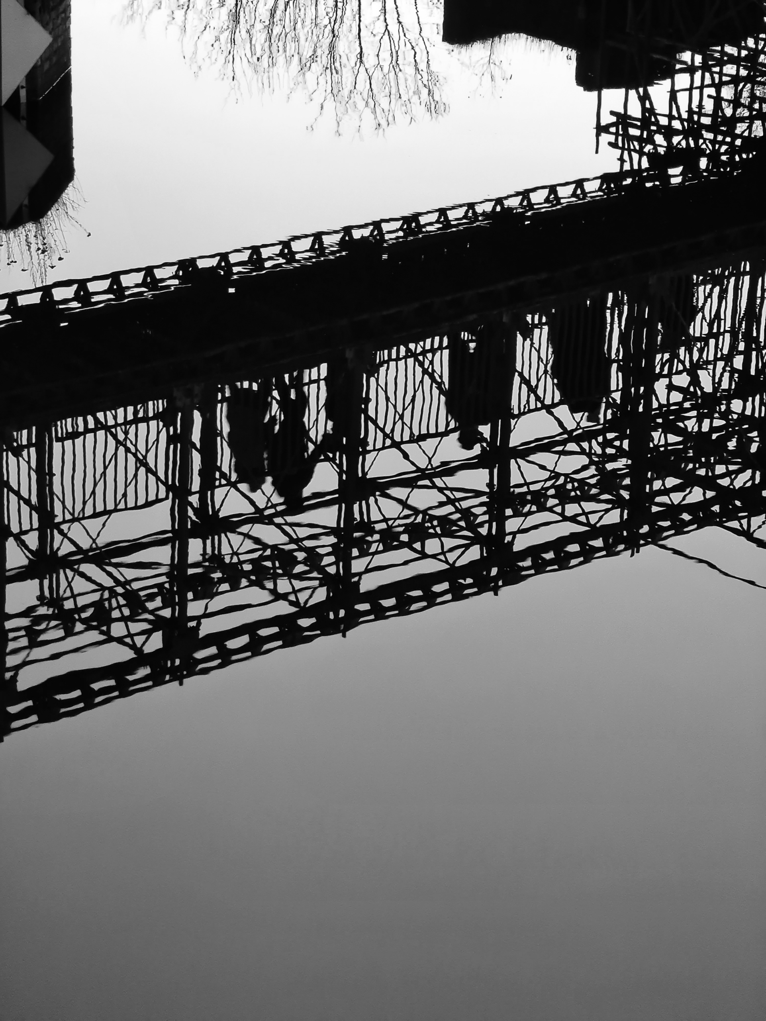 ART. Photographer Andrey Nekrasov