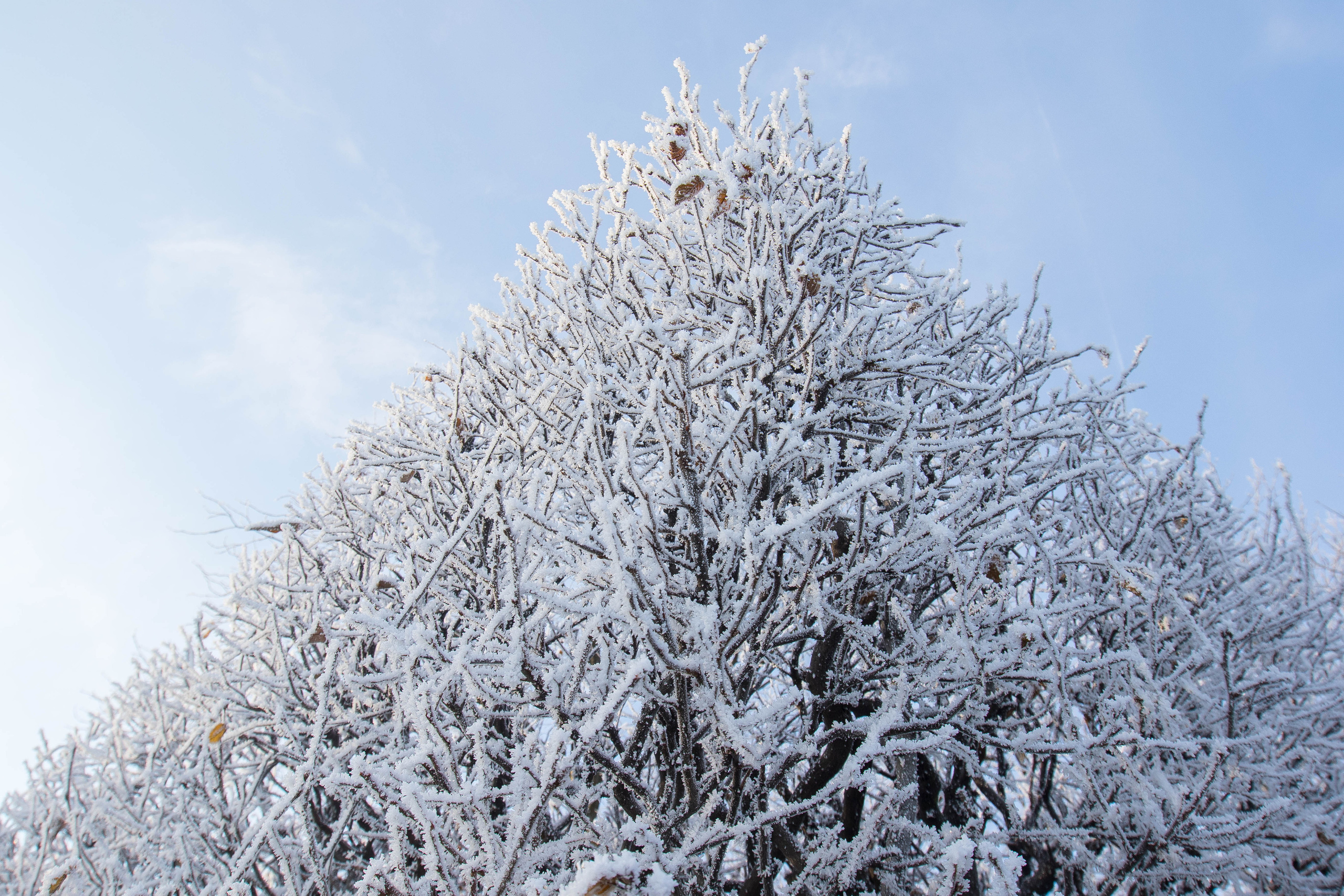 ART. Photographer Andrey Nekrasov