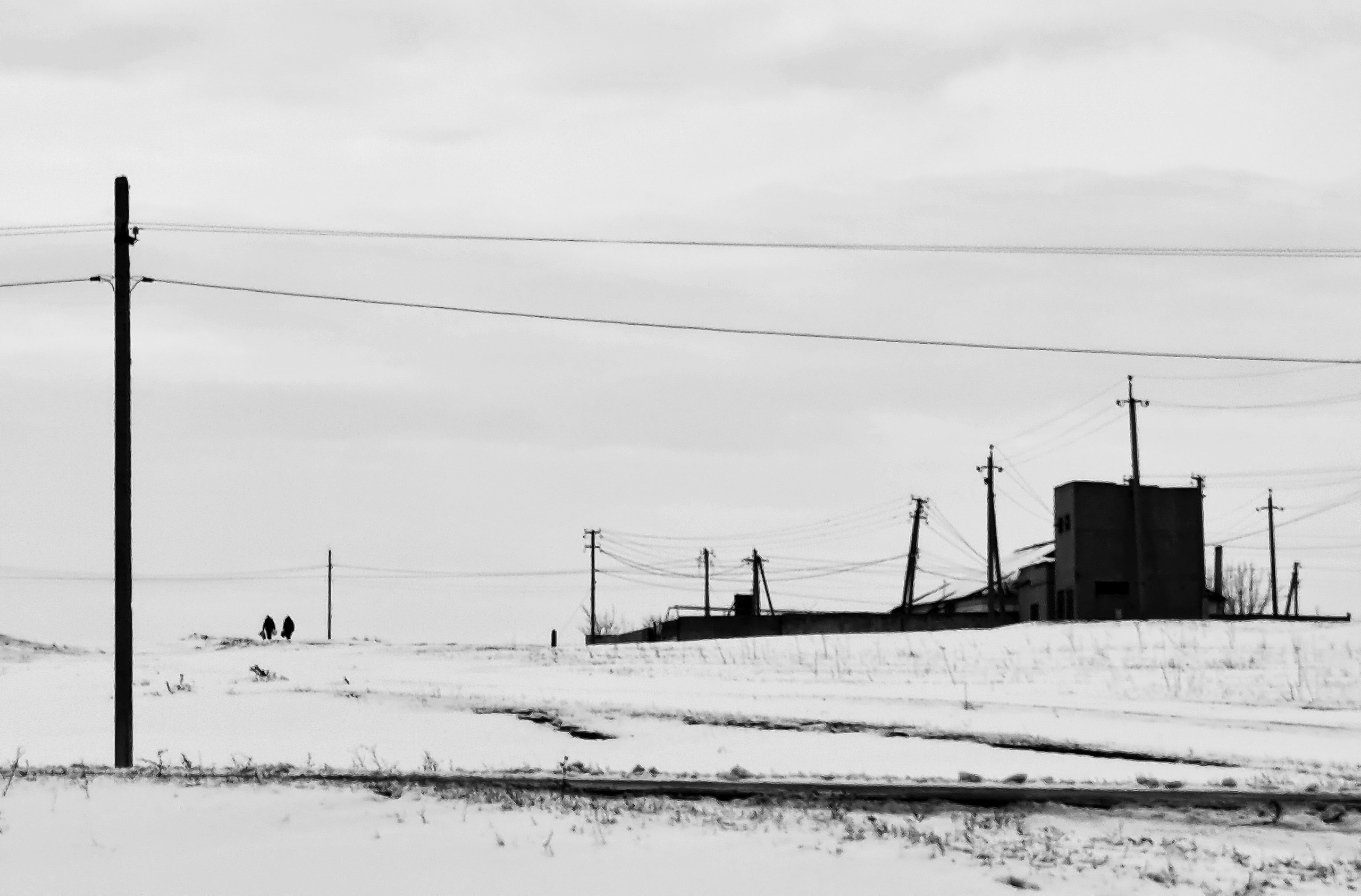 ART. Photographer Andrey Nekrasov