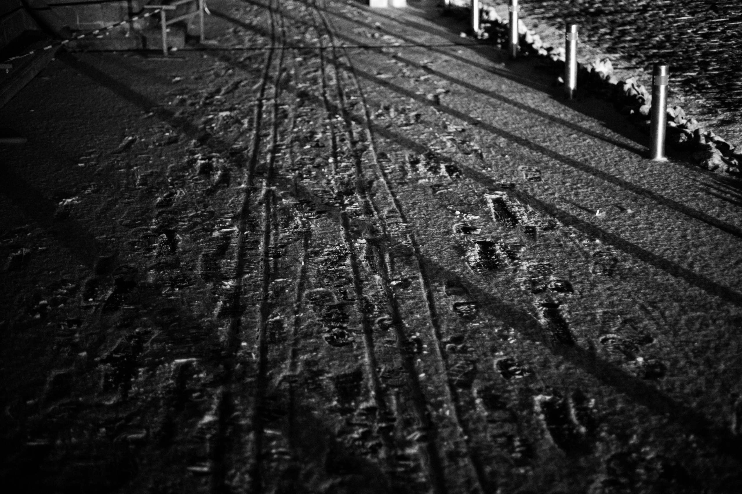 ART. Photographer Andrey Nekrasov