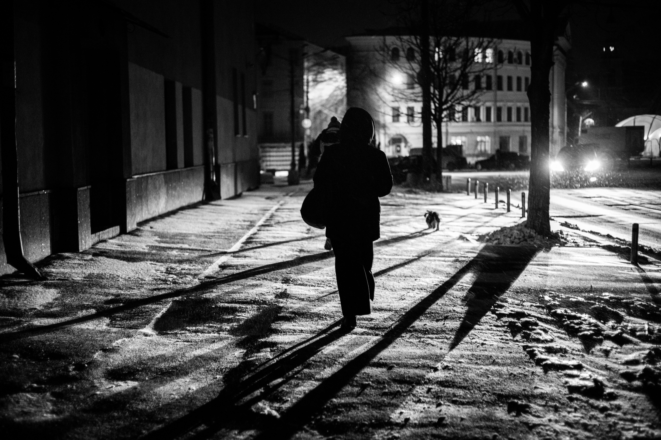 ART. Photographer Andrey Nekrasov