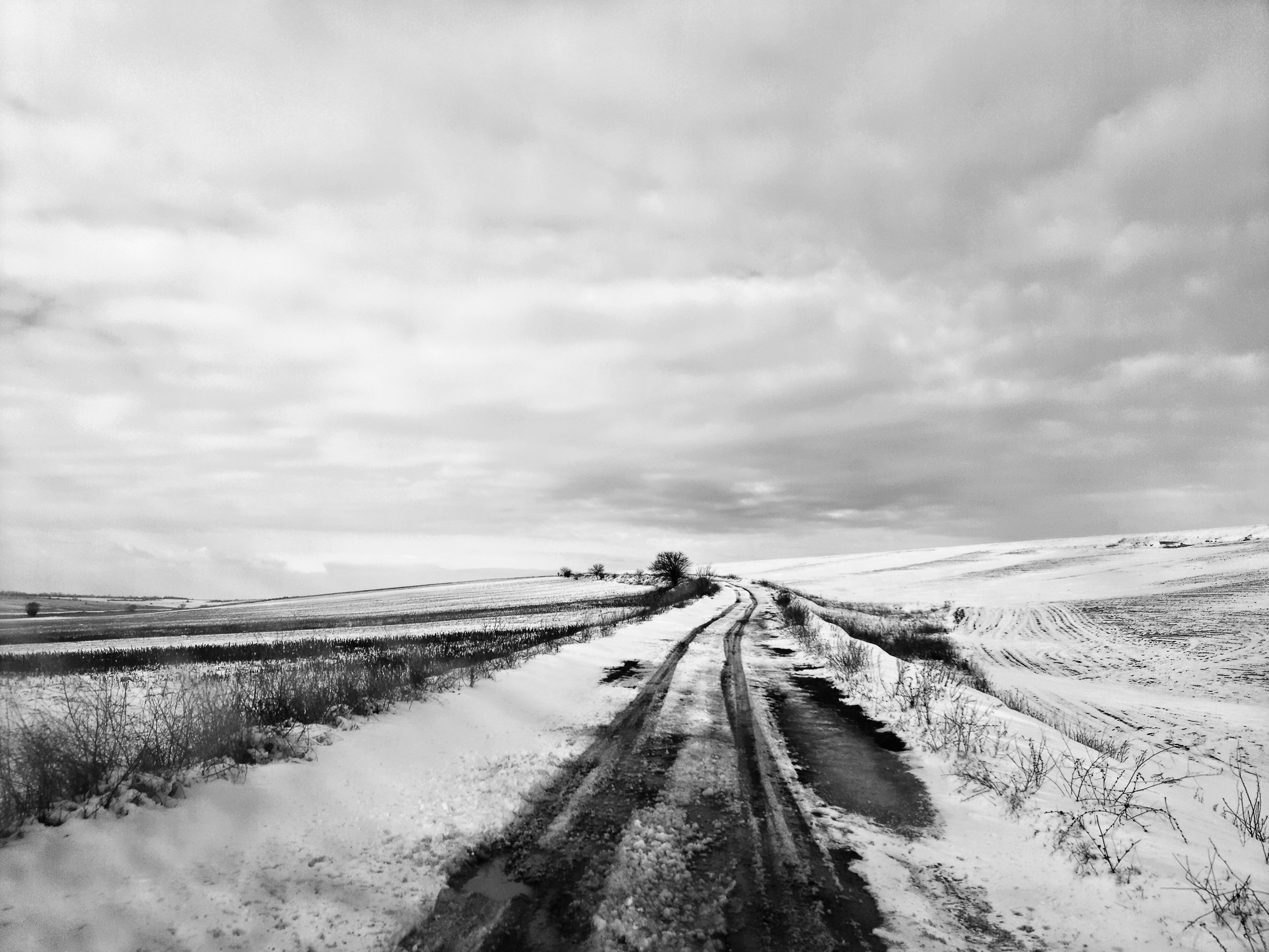 ART. Photographer Andrey Nekrasov